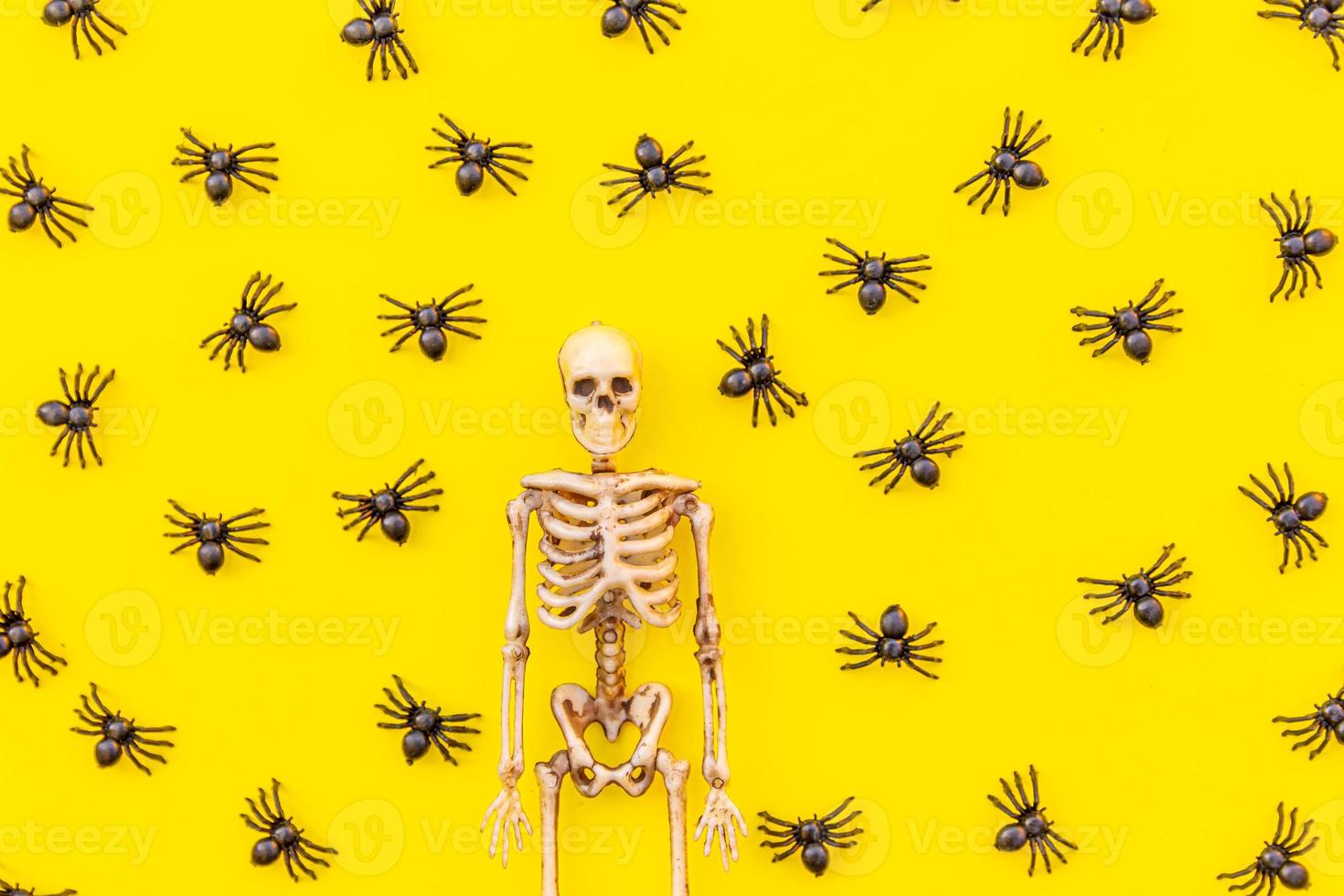 Halloween minimal decorations, composition with many black spiders and skeleton isolated on yellow background. Halloween celebration trick or treat concept. Flat lay top view. photo