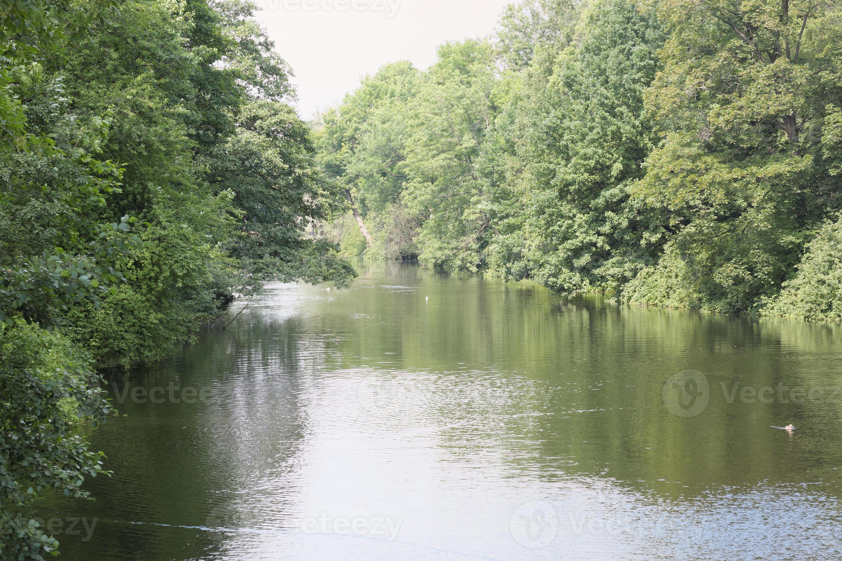 calm and slow river flowing through the forest. lush green trees