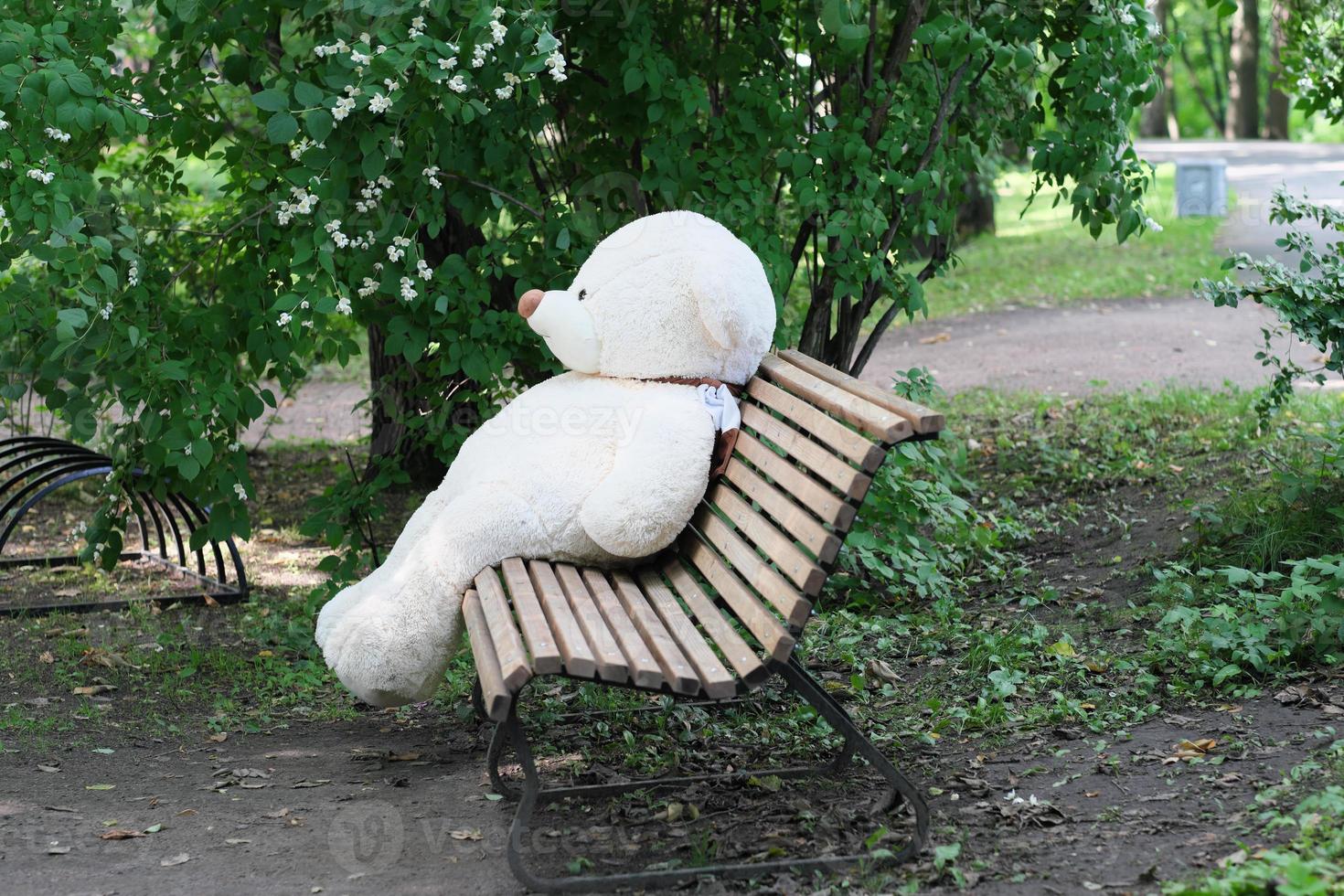 giant teddy bear left on a park bench. loneliness and sadness concept. toy bear waiting for a kid owner, photo