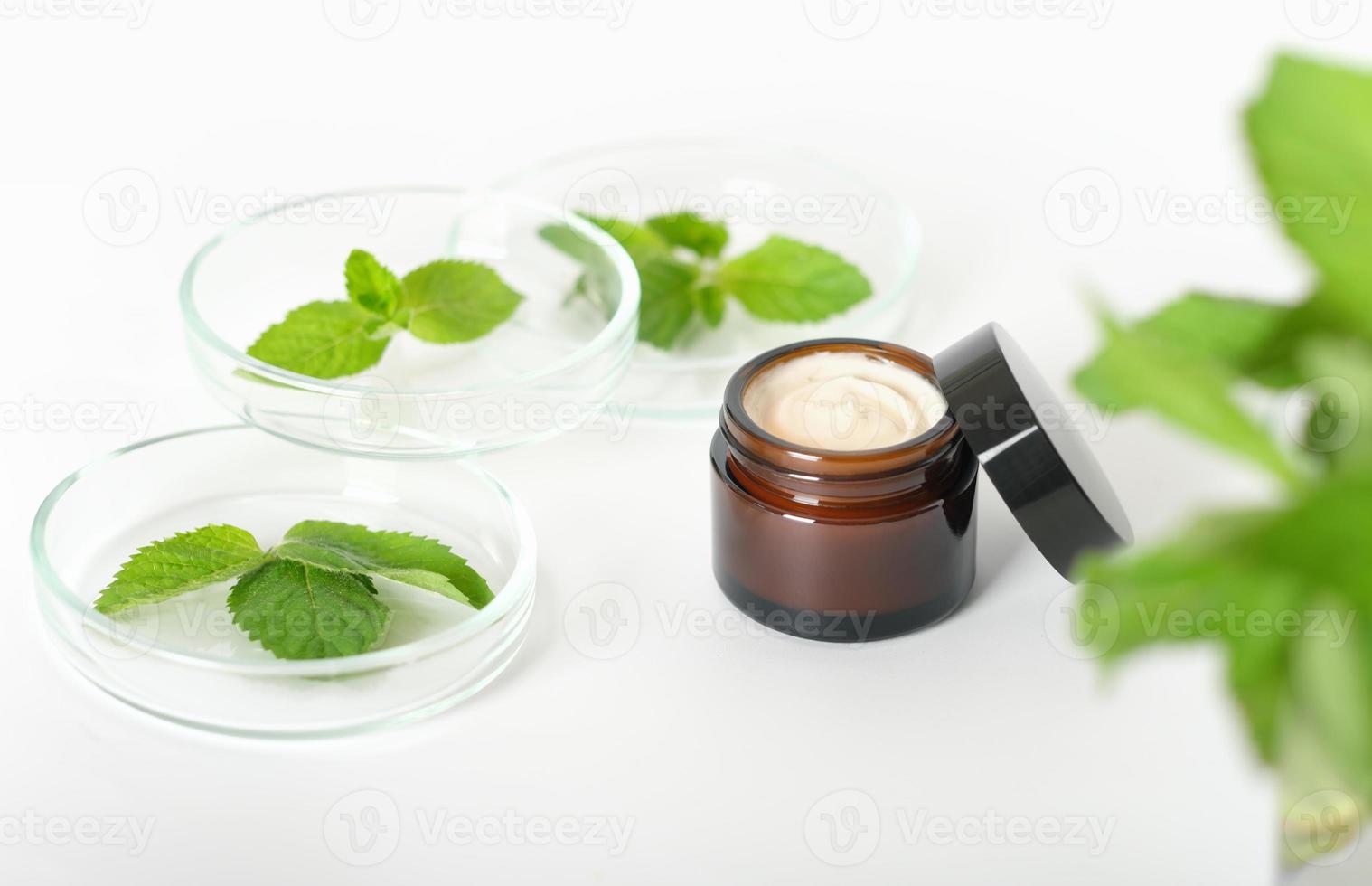 crema cosmética a base de hierbas y hojas de menta en placa de petri, cosmética natural, cuidado facial desarrollado en laboratorio, enfoque selectivo foto