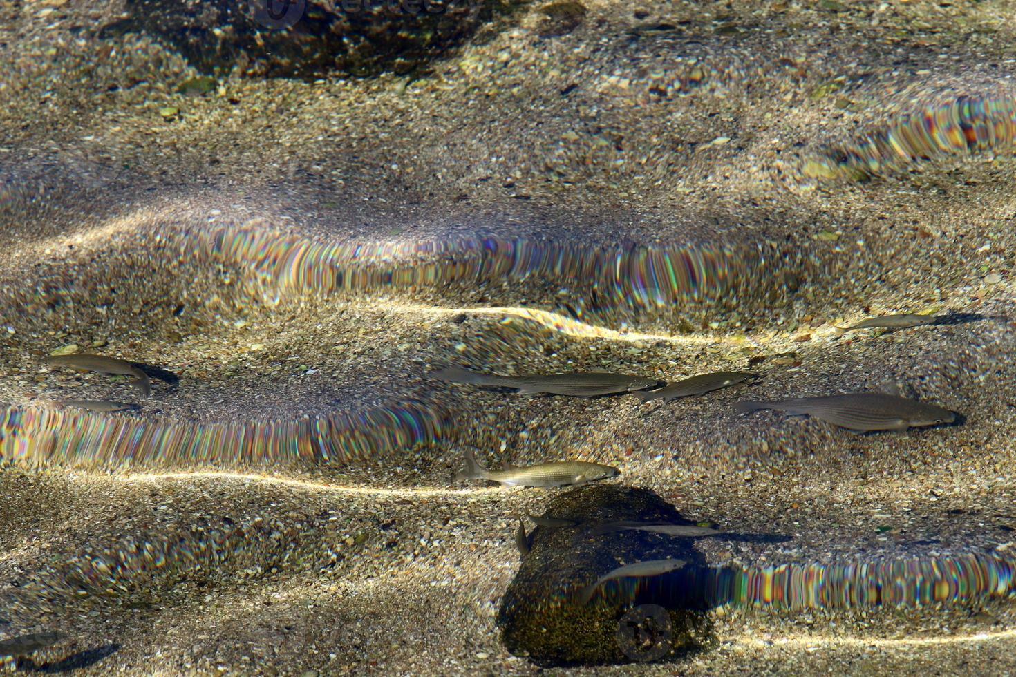 The color of sea water in shallow water. photo