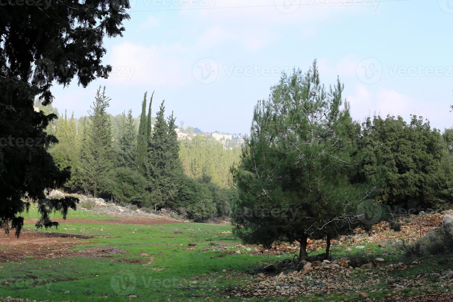 Landscape in the mountains in northern Israel photo