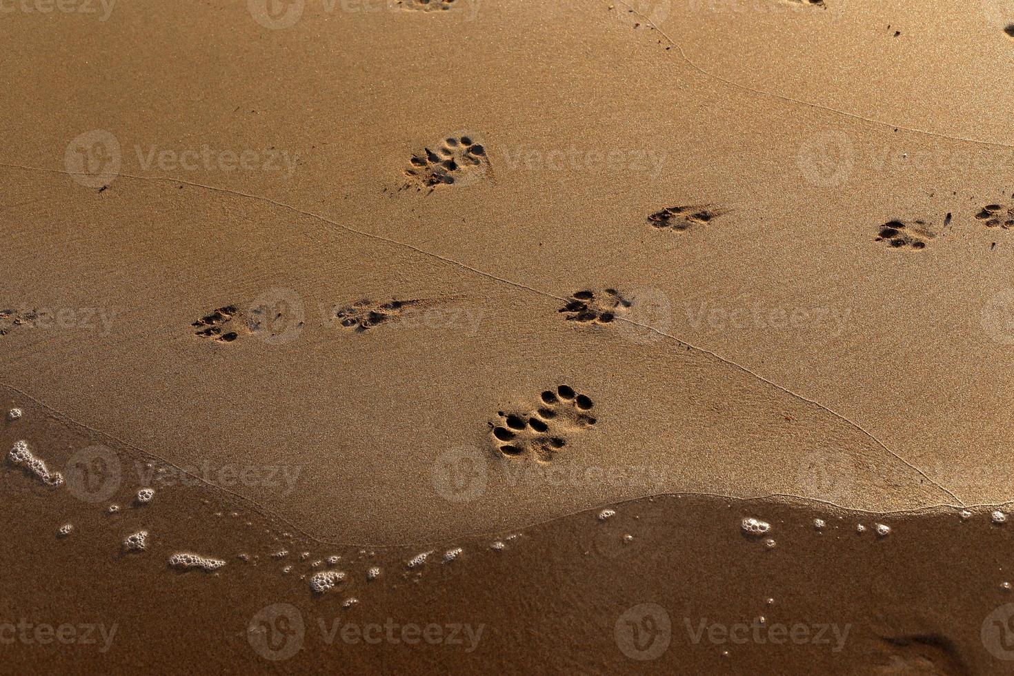 Footprints in the sand on the city beach. photo