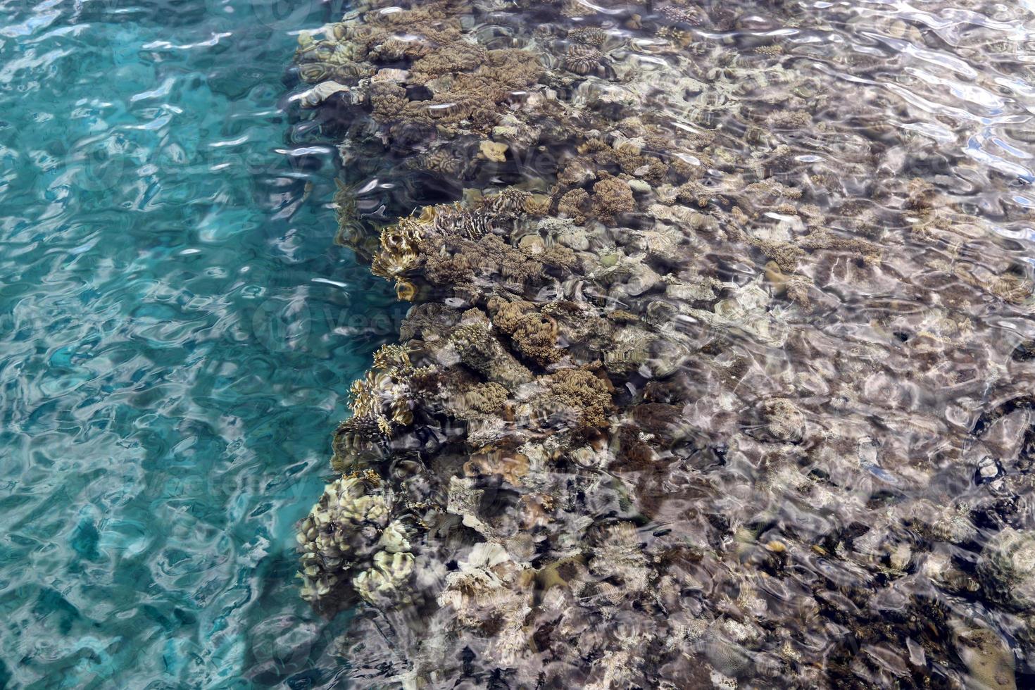 Rocky shore of the Mediterranean Sea in northern Israel. photo