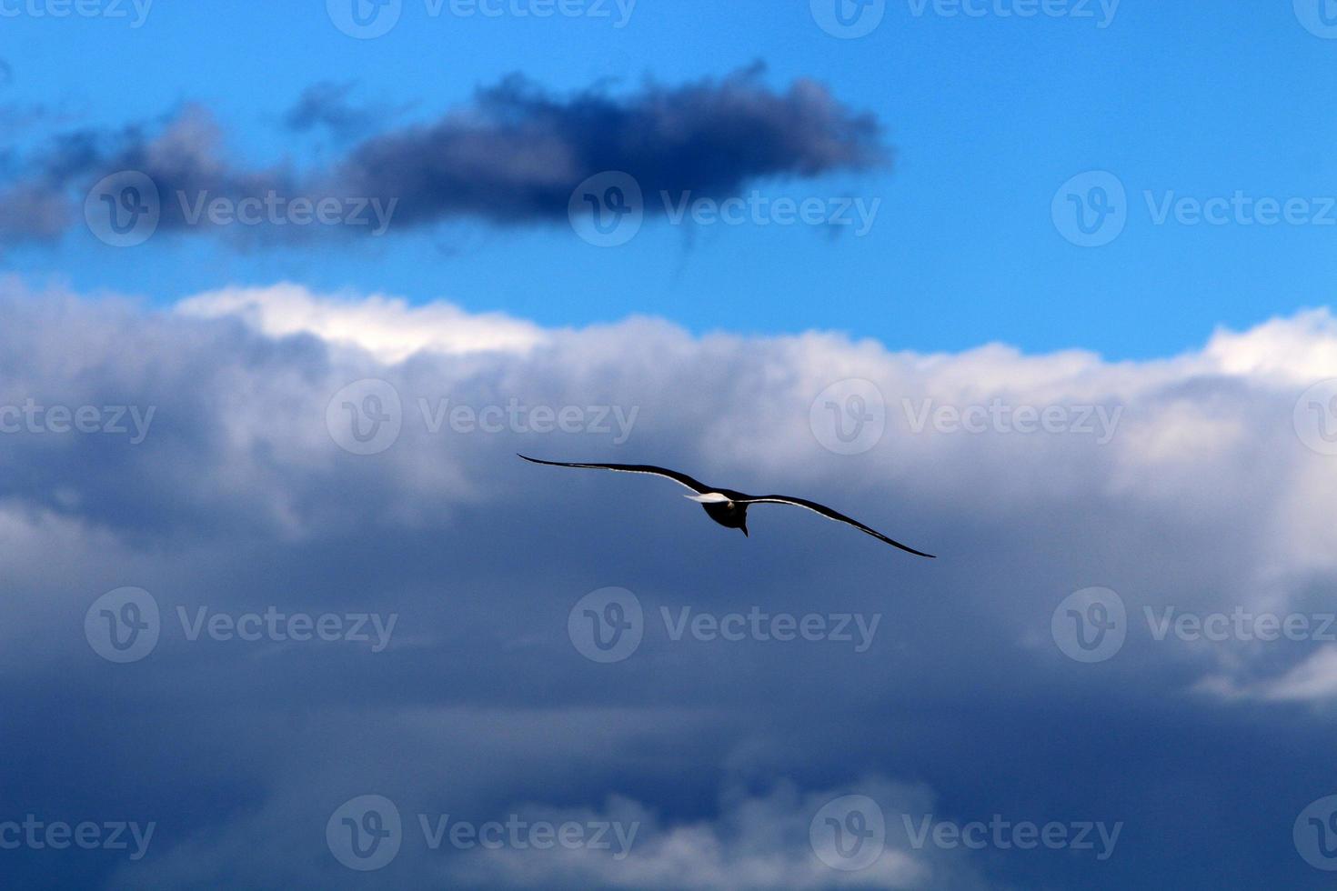 The sky over the Mediterranean Sea in northern Israel. photo