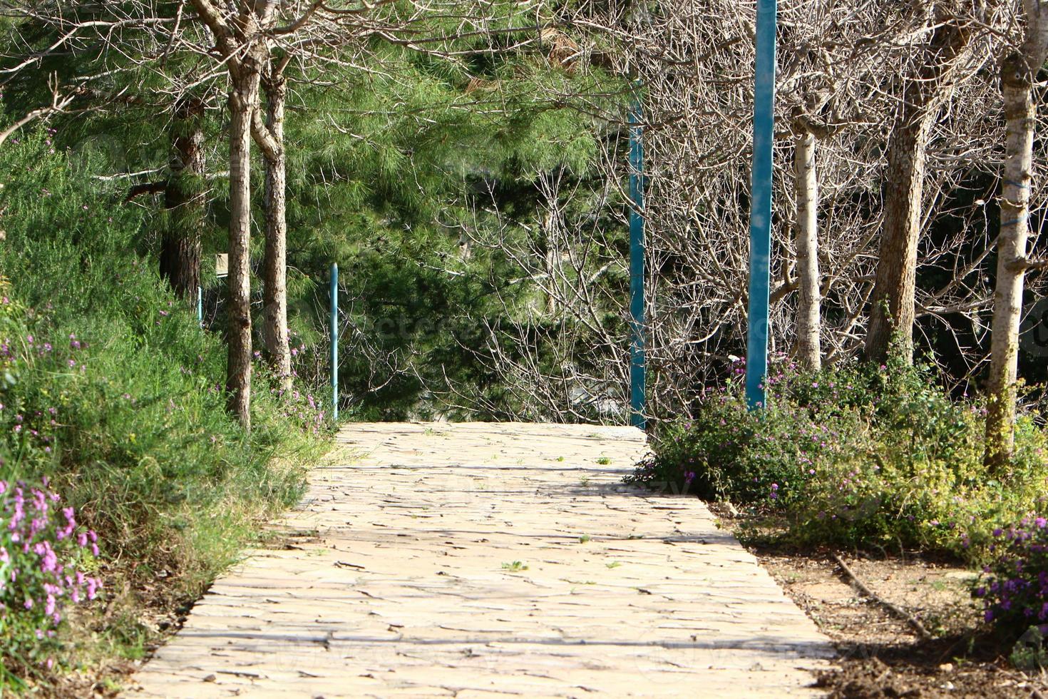 Road for walking in the city park. photo