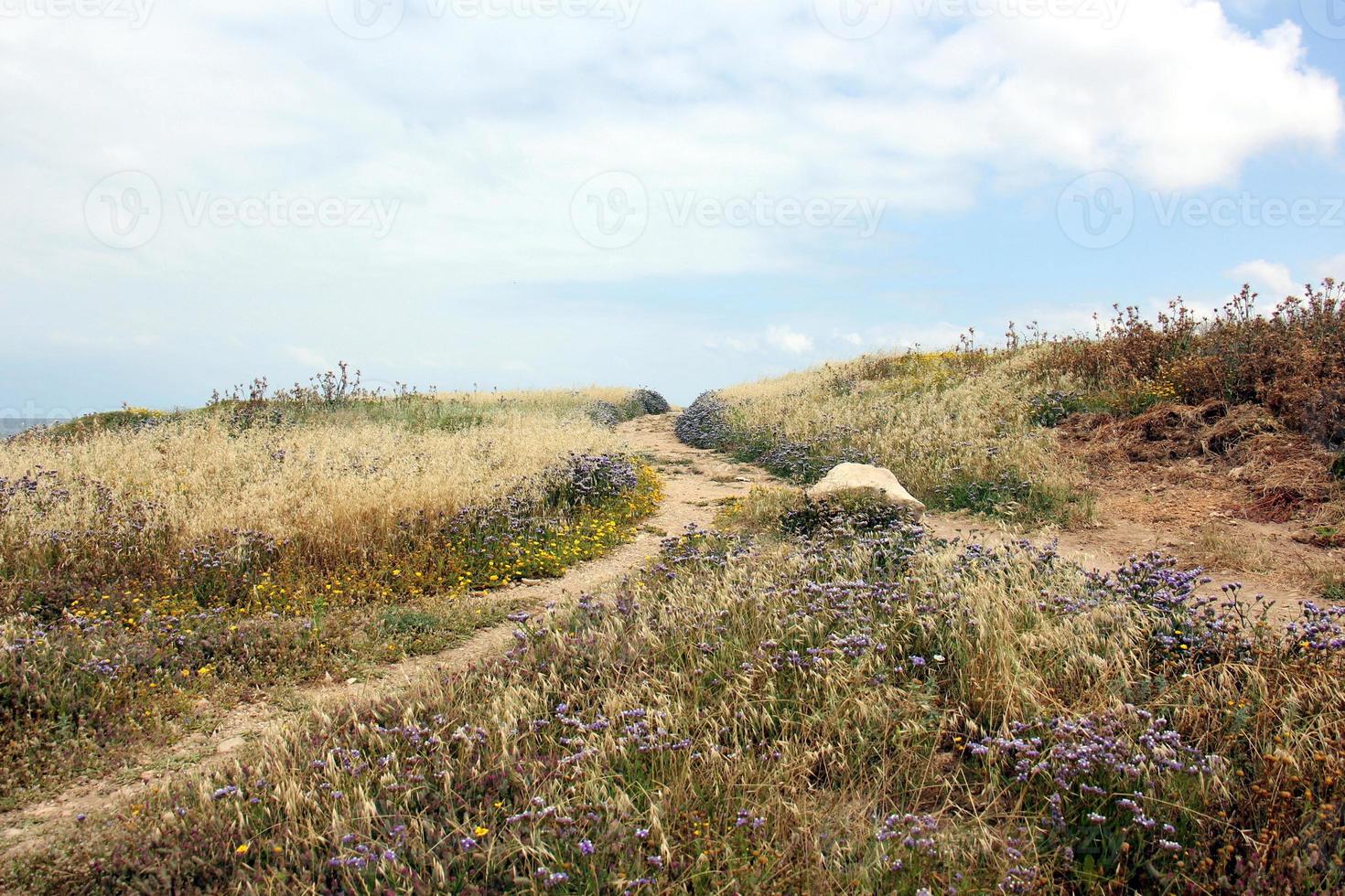 Landscape in the mountains in northern Israel photo