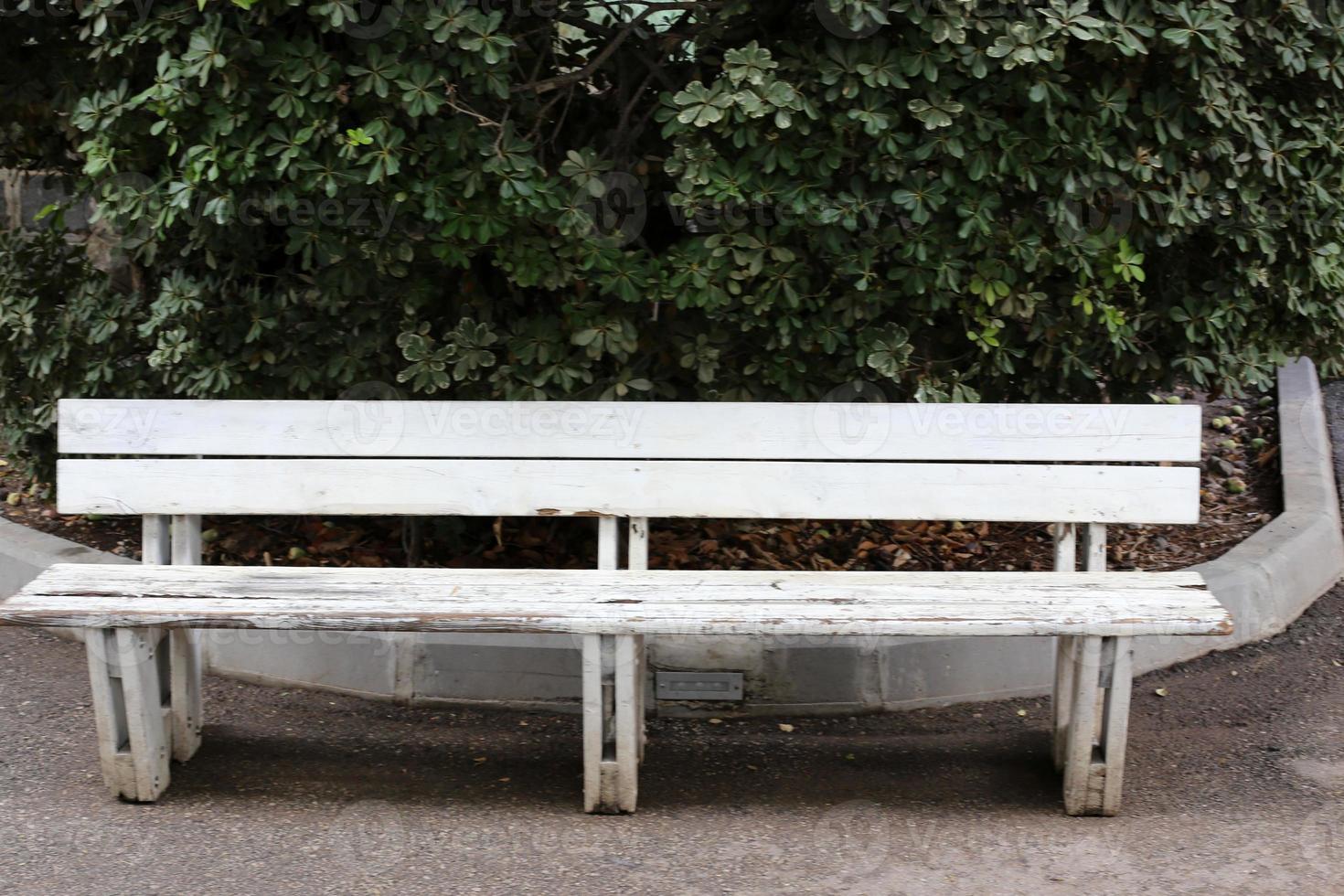 Bench in a city park on the Mediterranean coast photo