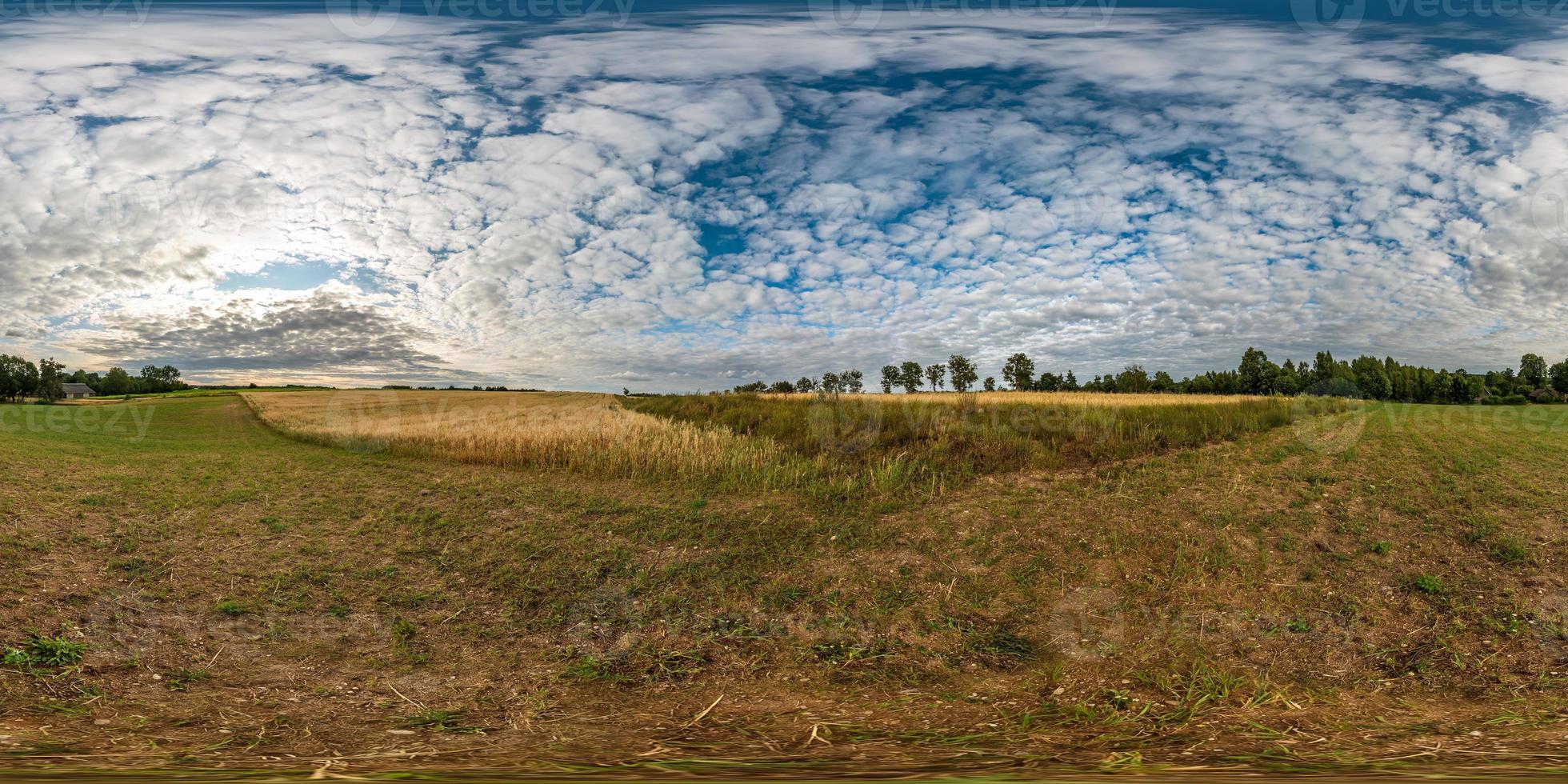 vista de ángulo de 360 grados de panorama hdri esférico completo sin costuras entre campos de centeno y trigo cosechados con fardos de heno en el día de verano con hermosas nubes cirrocumilus en proyección equirectangular foto