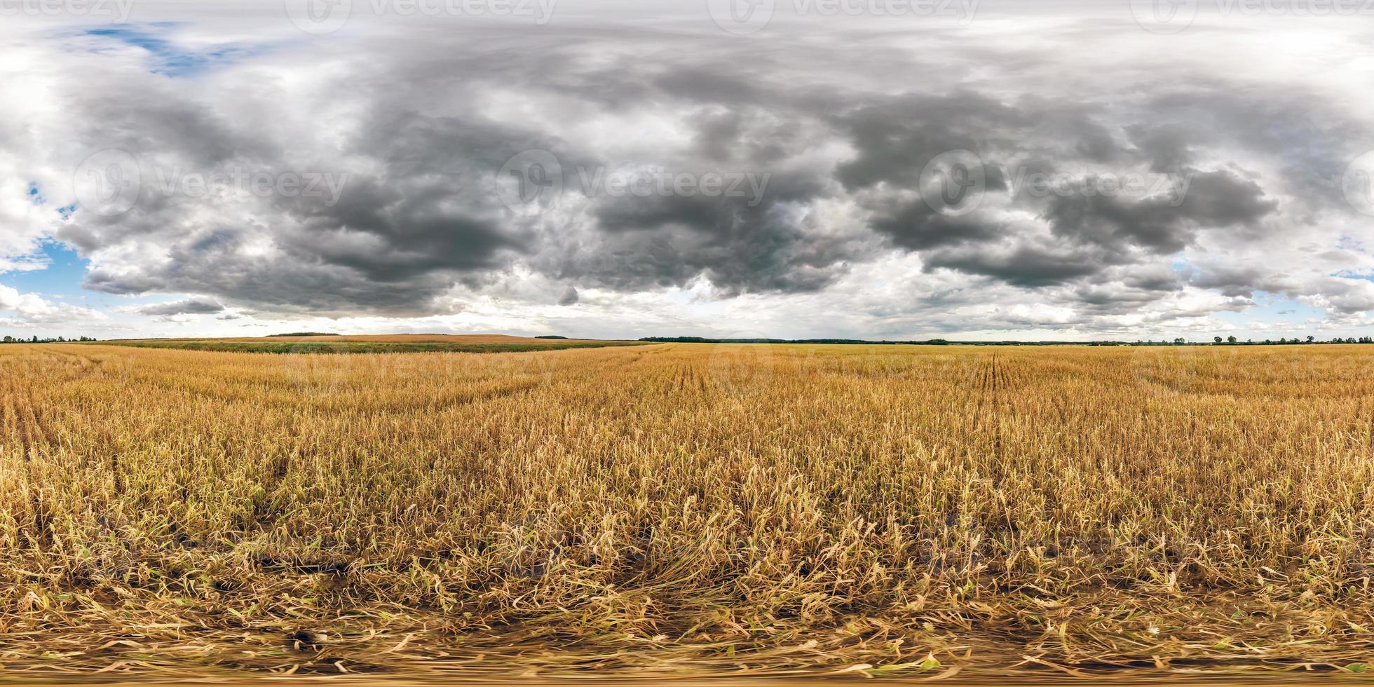 full spherical seamless hdri panorama 360 degrees angle view among rye and wheat fields in summer evening sunset with awesome clouds in equirectangular projection, ready VR AR virtual reality content photo