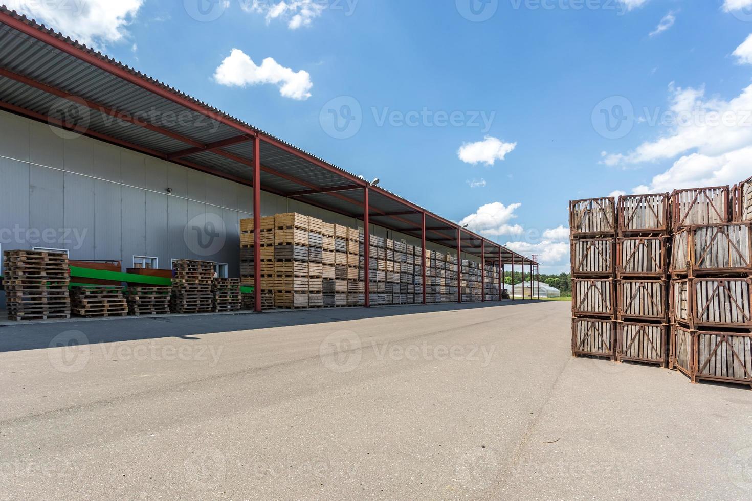 rows of wooden crates boxes and pallets for fruits and vegetables in storage stock. production warehouse. Plant Industry photo