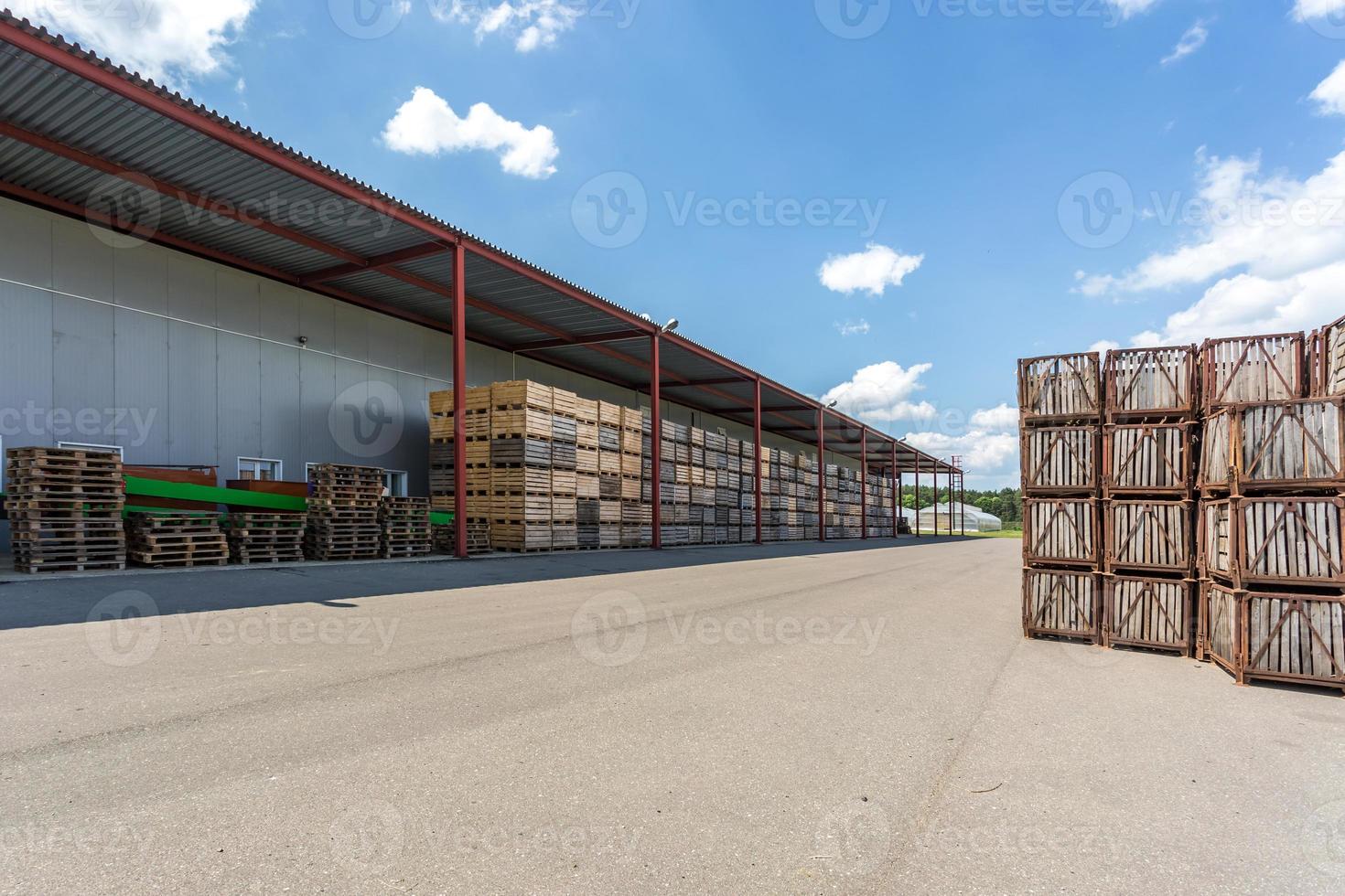 filas de cajas de madera y palets para frutas y verduras en stock de almacenamiento. almacén de producción. industria vegetal foto