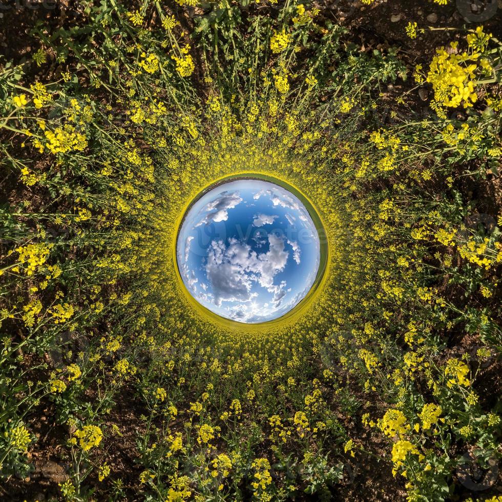 inversión de la transformación del pequeño planeta del panorama esférico 360 grados. vista aérea abstracta esférica en el campo de colza con impresionantes nubes hermosas. curvatura del espacio. foto