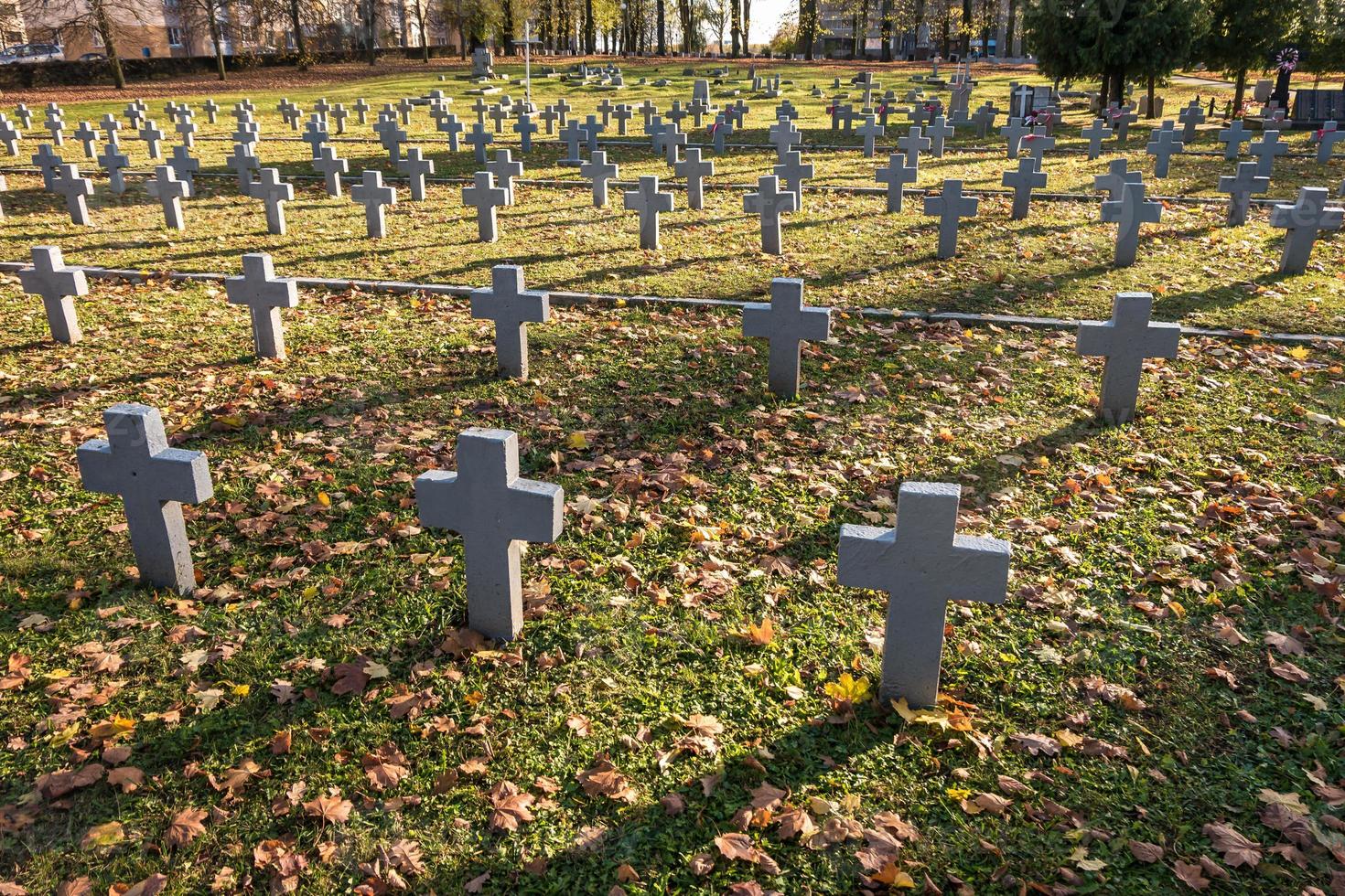 many identical gray crosses in polish military cemetery. autumn and sunset of life. struggle for congregation and independence of the motherland photo