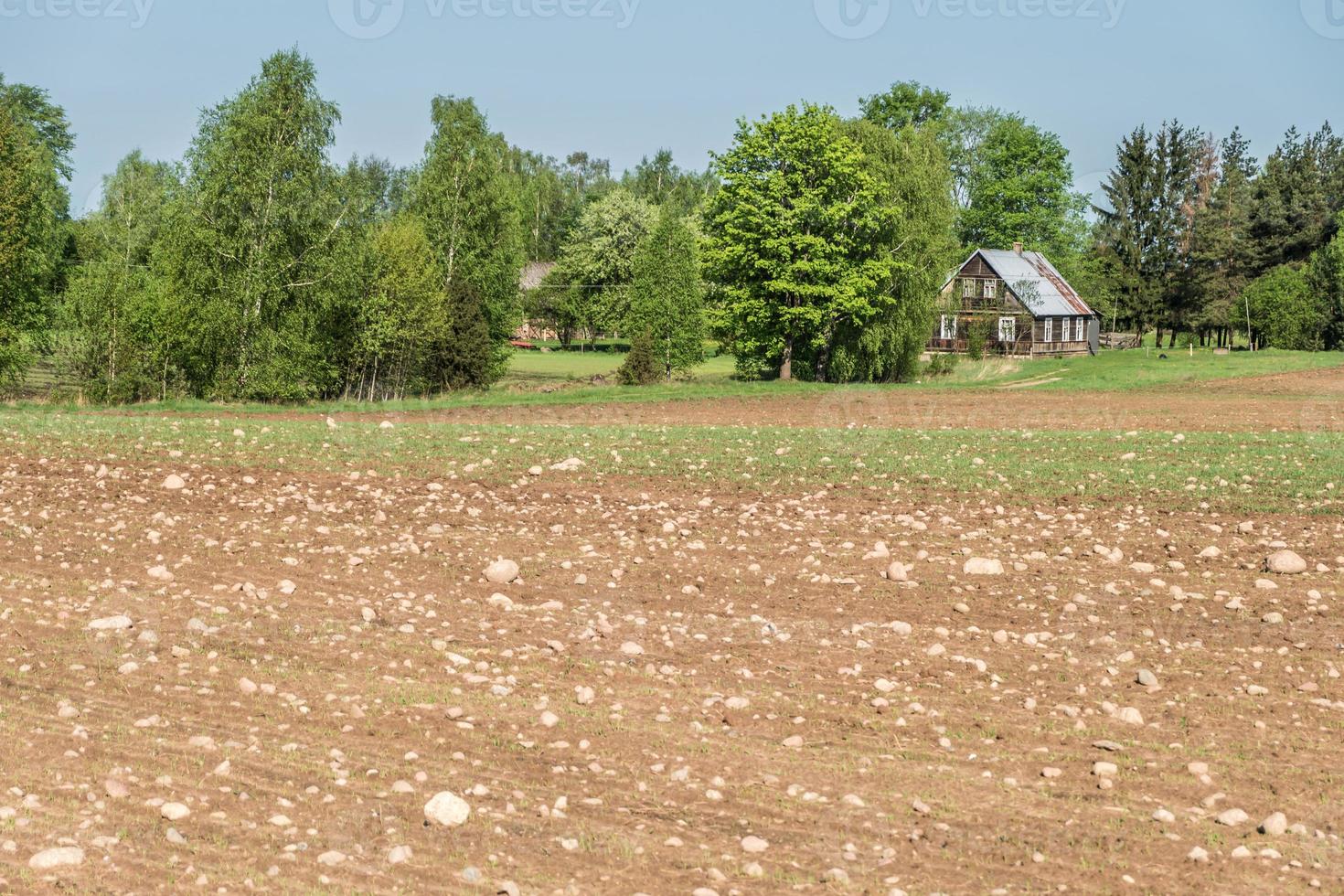 a lot of stones on plowed spring field near wooden village hut or vacation home photo