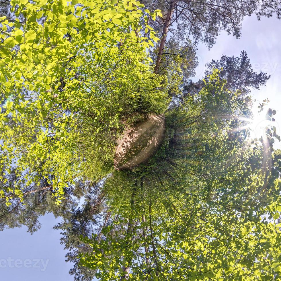 Little planet transformation of spherical panorama 360 degrees. Spherical abstract aerial view in forest. Curvature of space. photo