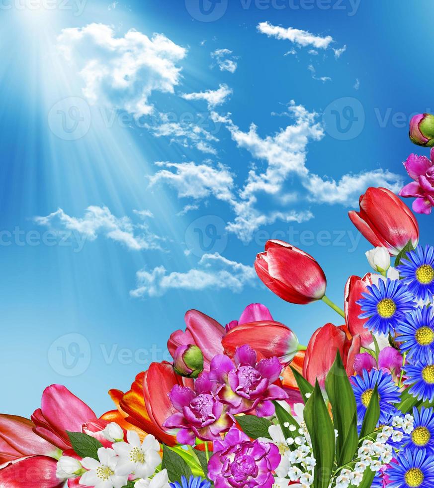 Spring flowers tulips on the background of blue sky with clouds photo