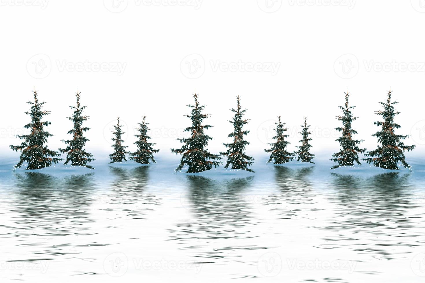 Frozen winter forest with snow covered trees. photo
