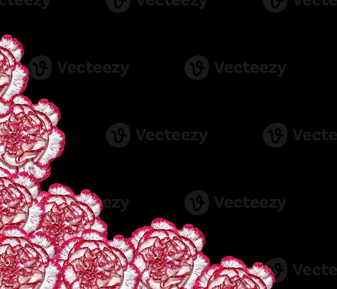 Bouquet of flowers carnation. photo