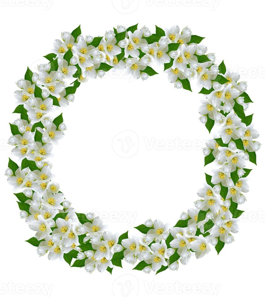 round frame of jasmine flowers photo