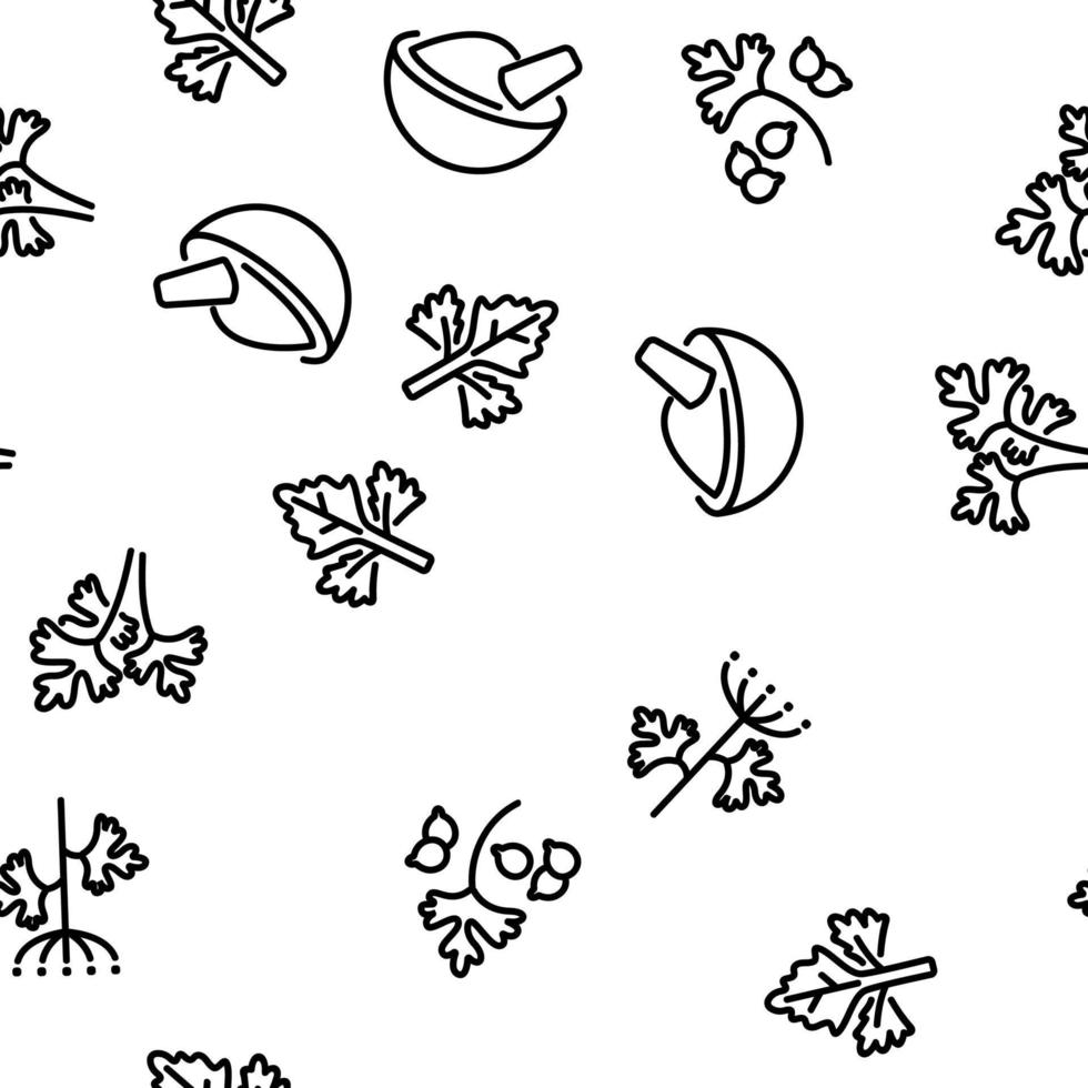 Coriander Herbal Plant Vector Seamless Pattern