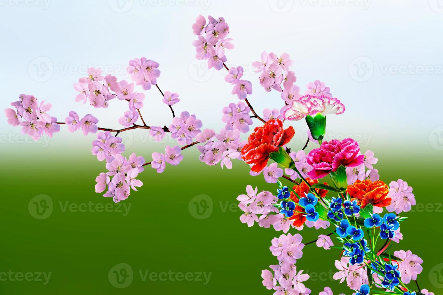 Spring flowering garden. photo