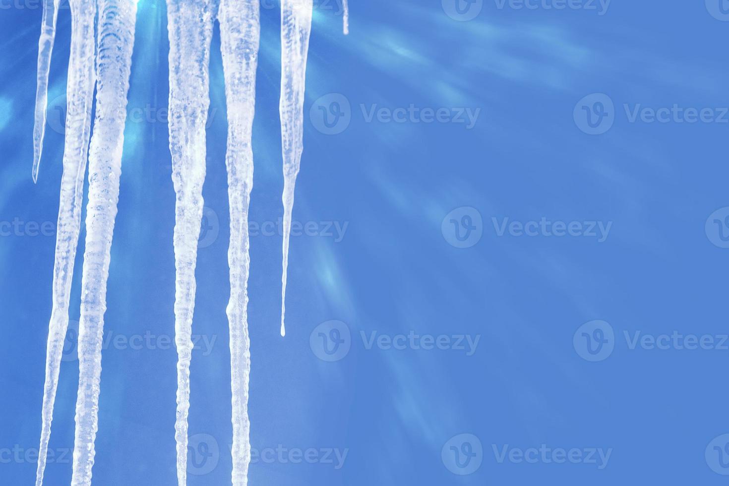 White icicles against the blue winter sky. photo