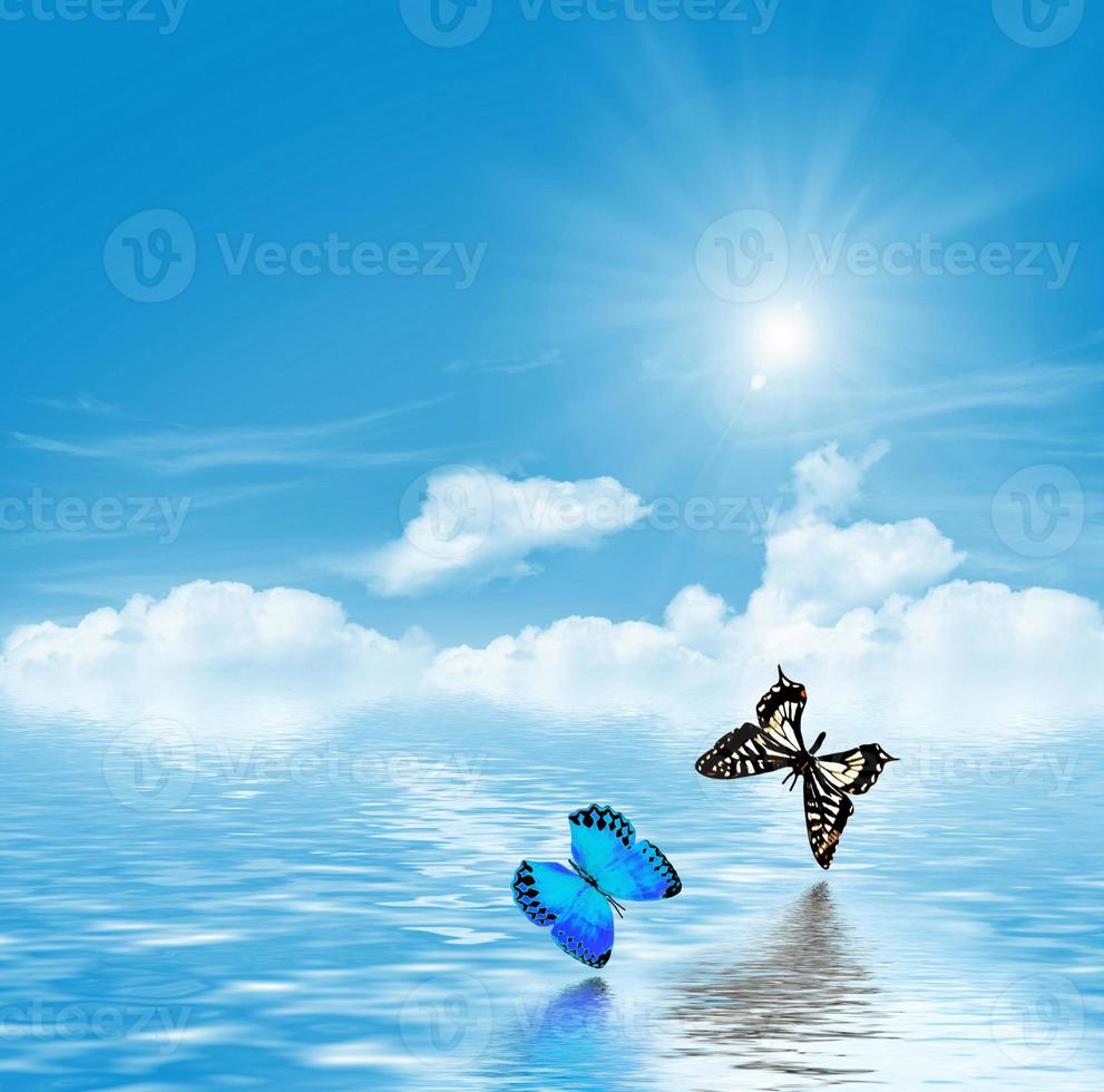 mariposas sobre un fondo de cielo azul con nubes foto