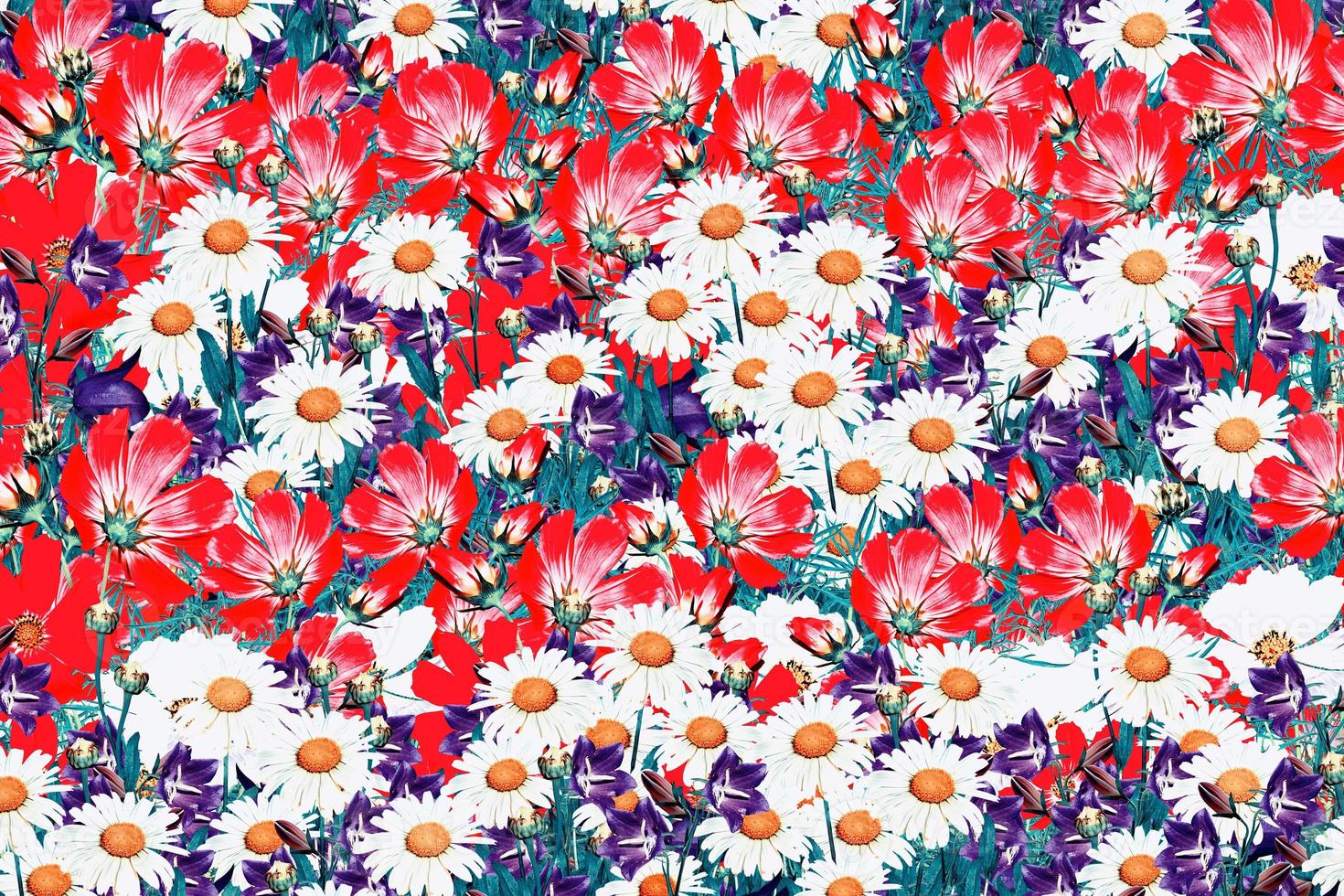 floral background. flower photo
