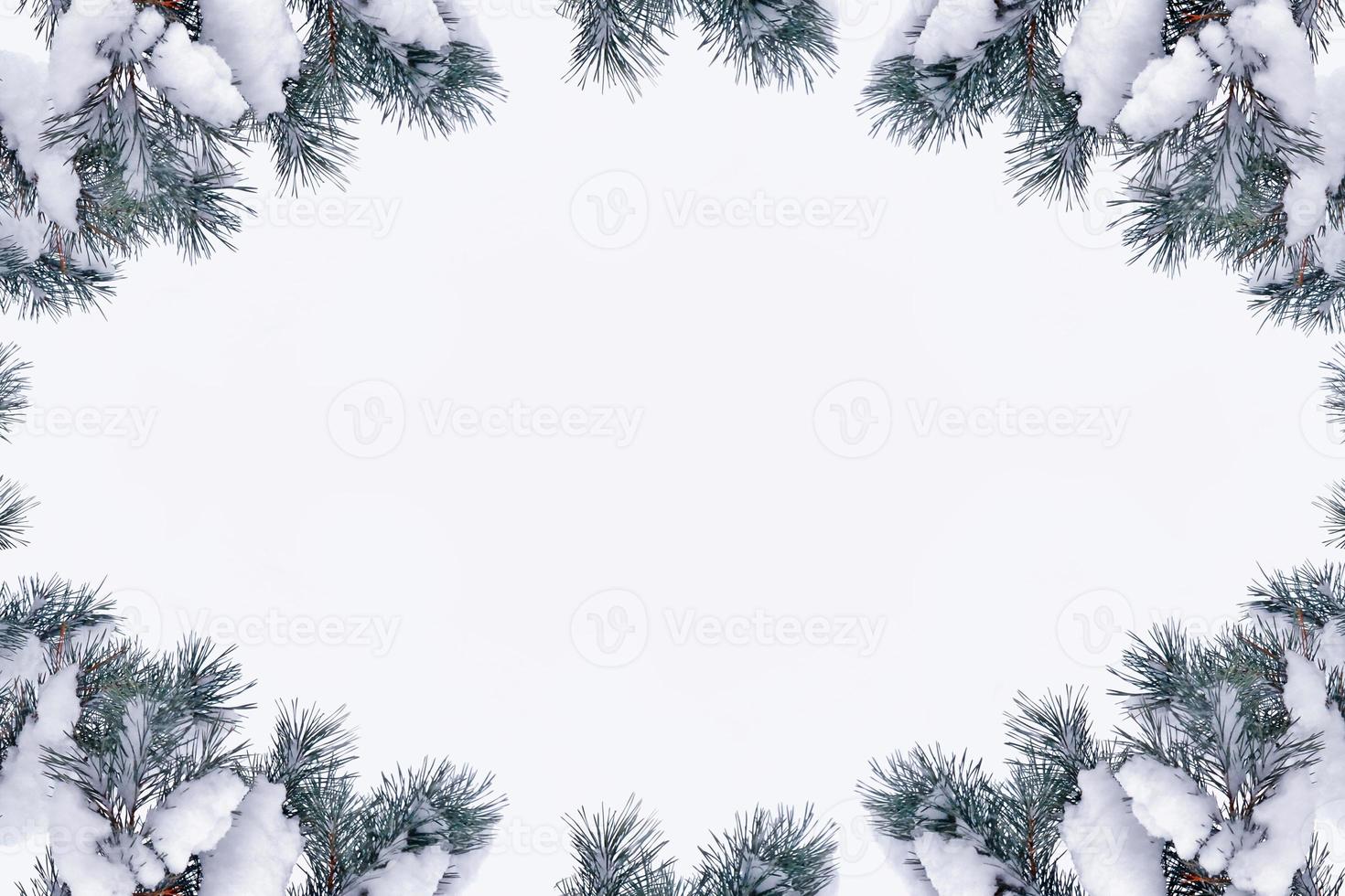 forest in the frost. Winter landscape. Snow covered trees. photo