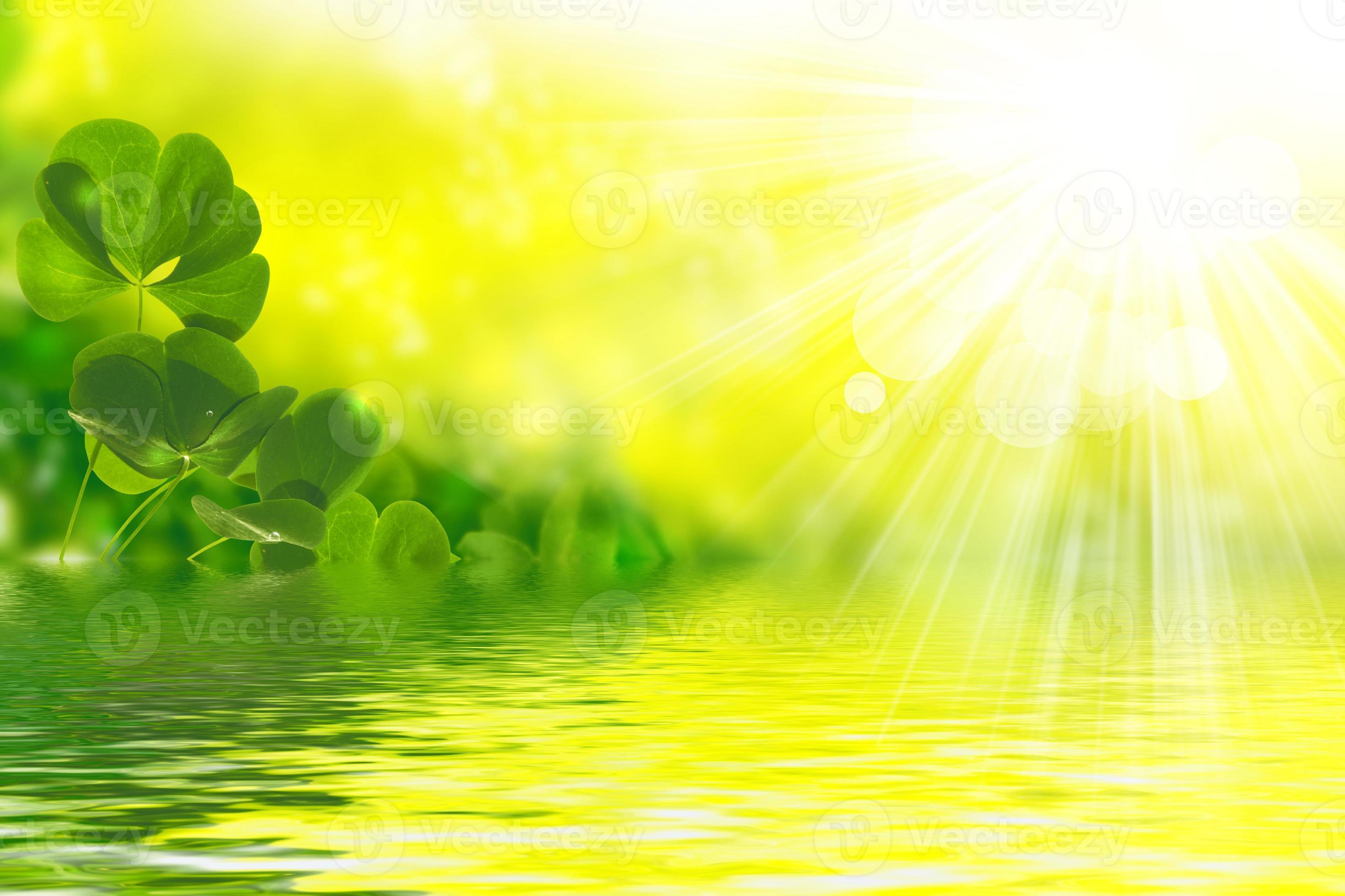 Green Clover Home Designs Ltd Reviews Green Clover Home Designs Ltd Reviews