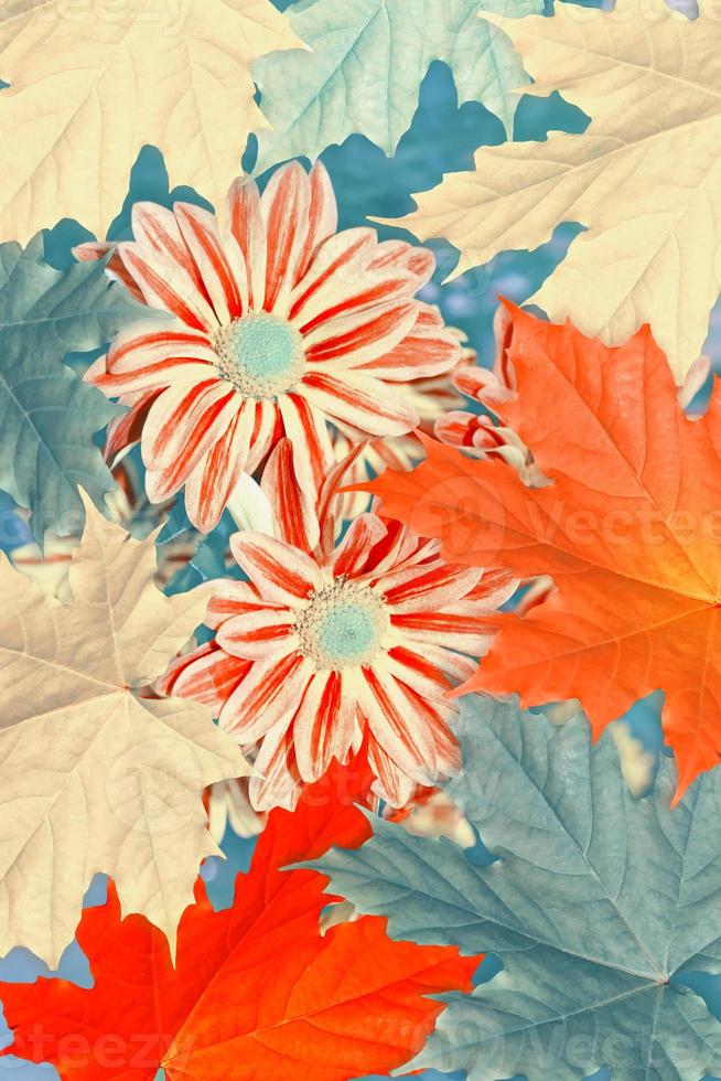 Autumnal abstract background of bright colorful foliage photo
