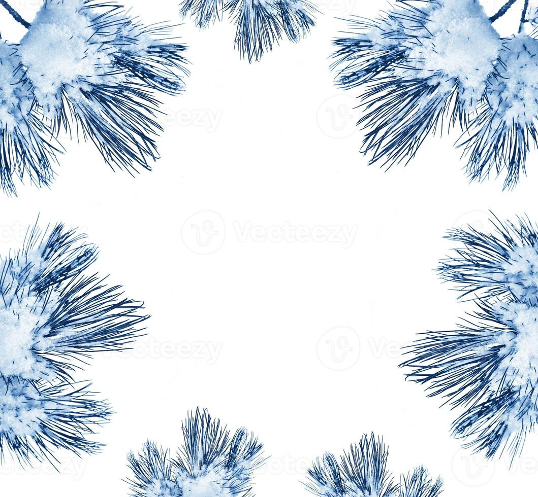 The branches of the snow covered tree Christmas tree photo