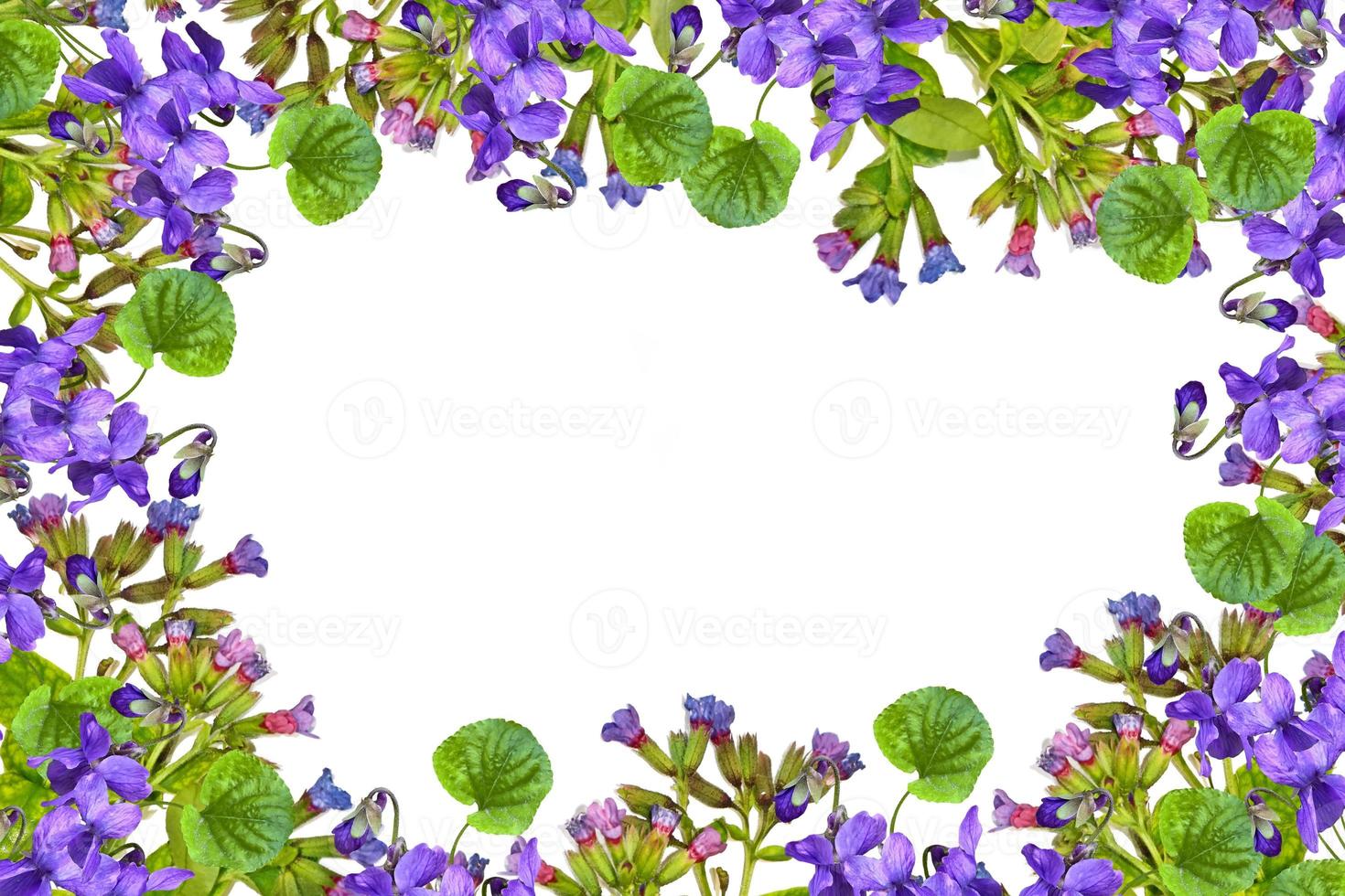 Beautiful spring flowers. photo