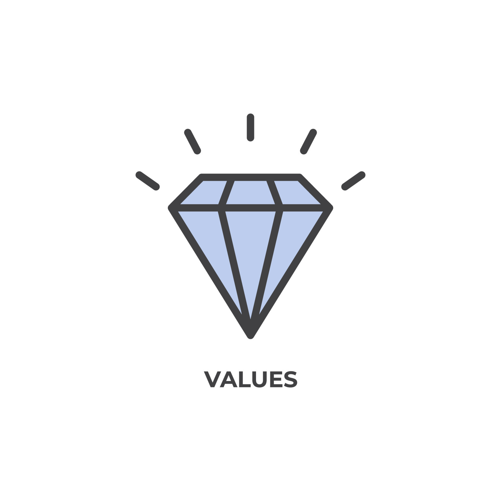 Vector sign of values symbol is isolated on a white background. icon