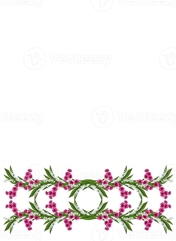 carnation isolated on white background photo