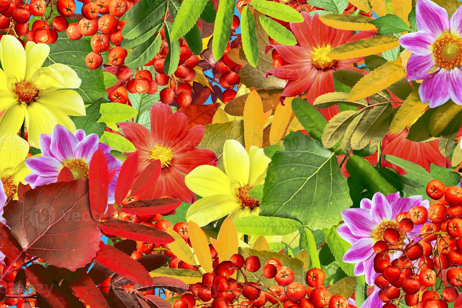 abstract background of autumn leaves photo