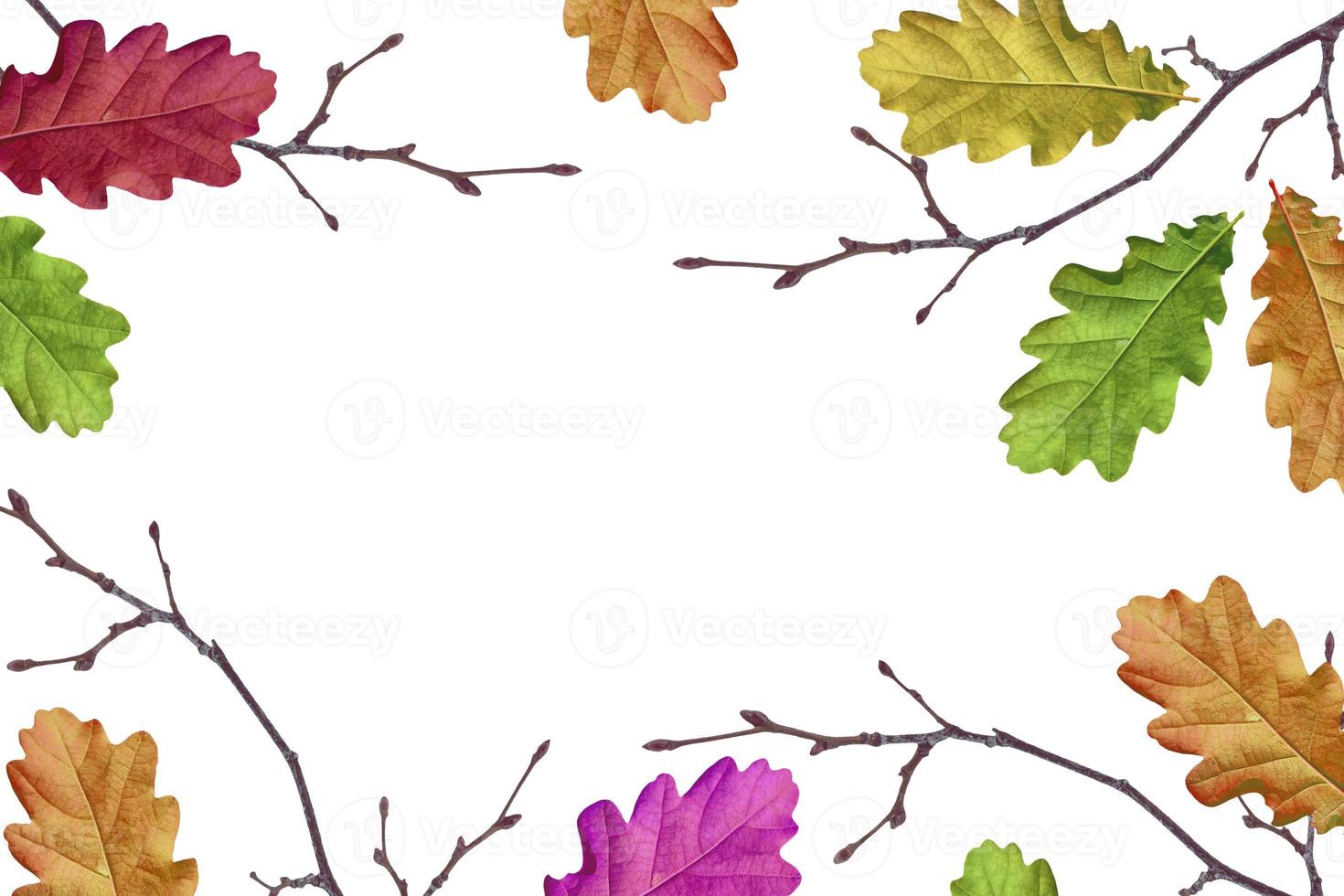Autumn background with bright colorful leaves. photo