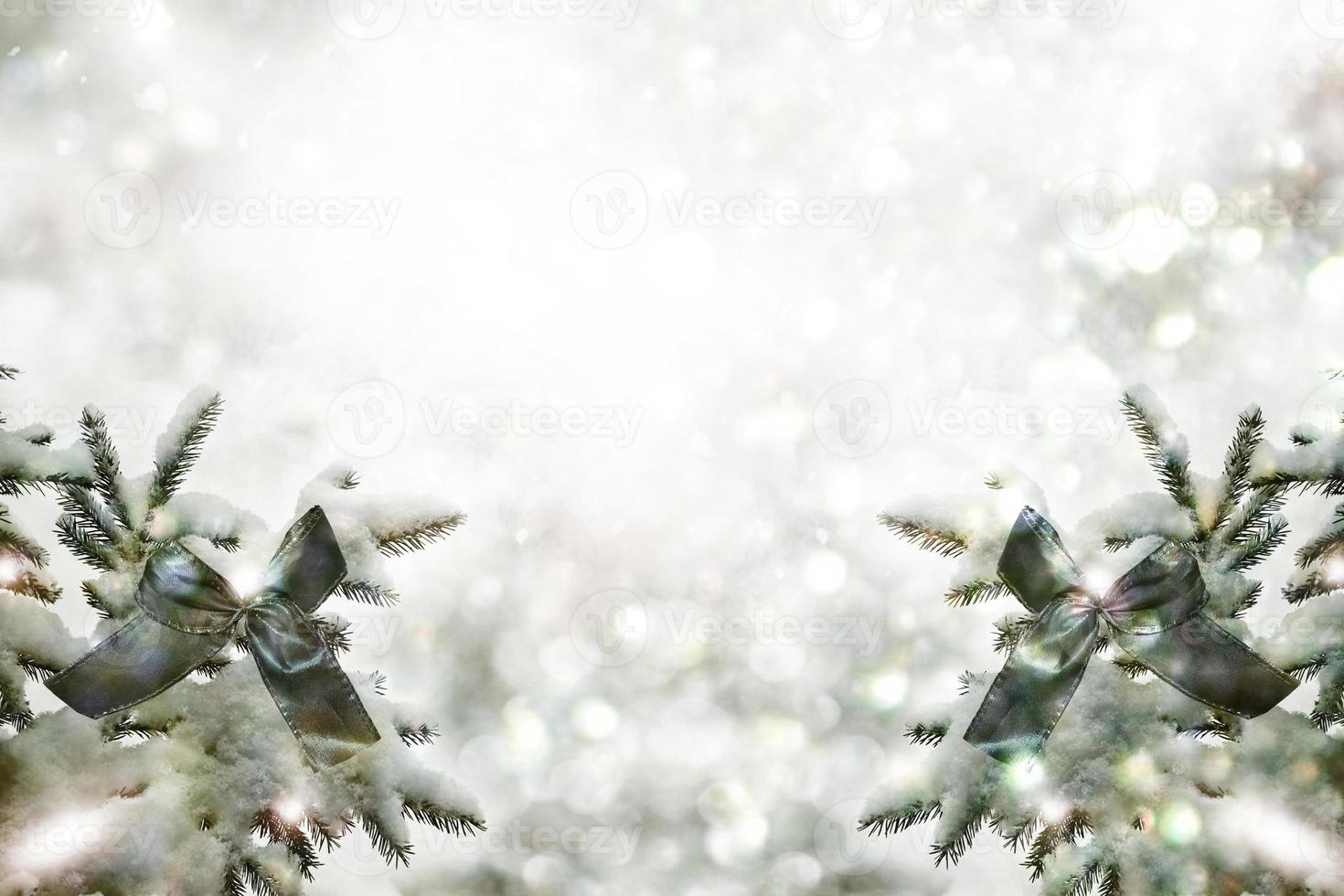 Snow covered trees. Festive Christmas composition. Card. photo