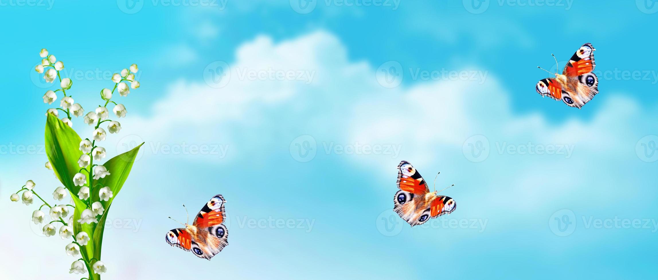 Spring landscape. flowers lily of the valley photo