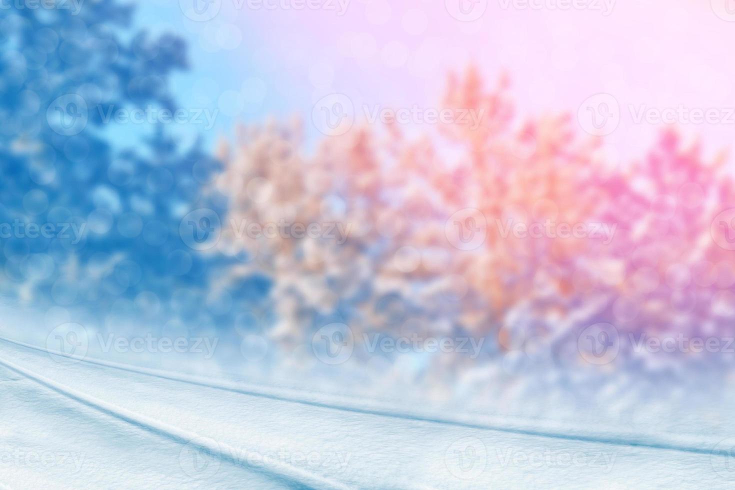 Frozen winter forest with snow covered trees. photo