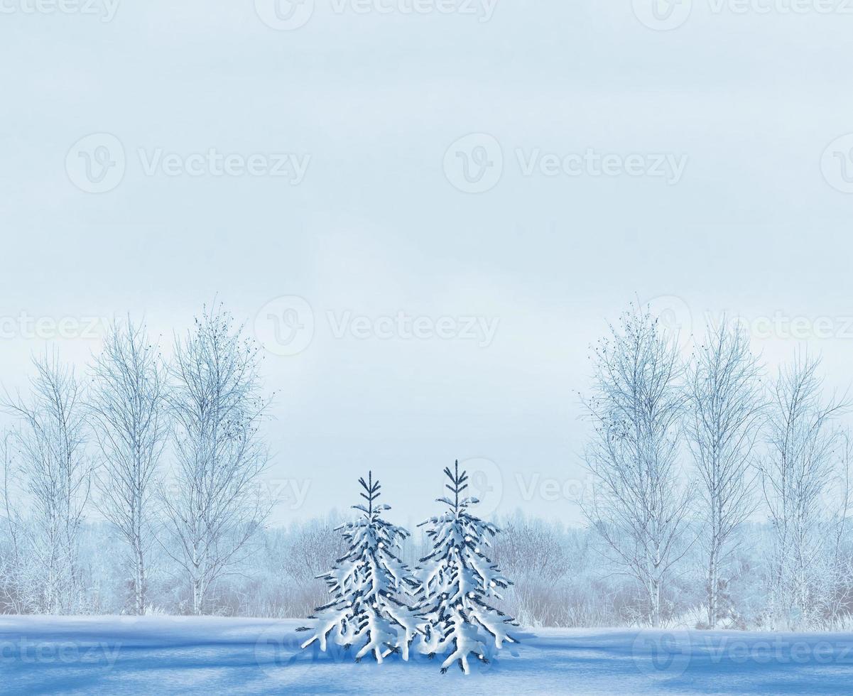 Frozen winter forest with snow covered trees. photo