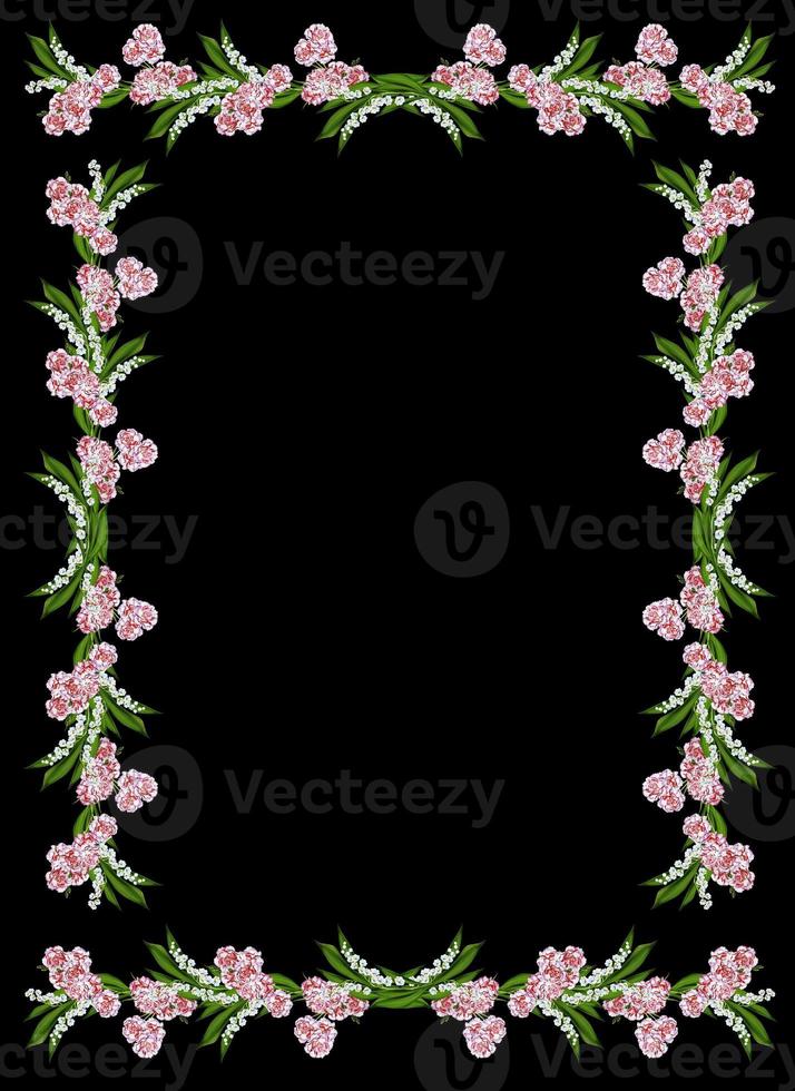 carnation isolated on black background photo