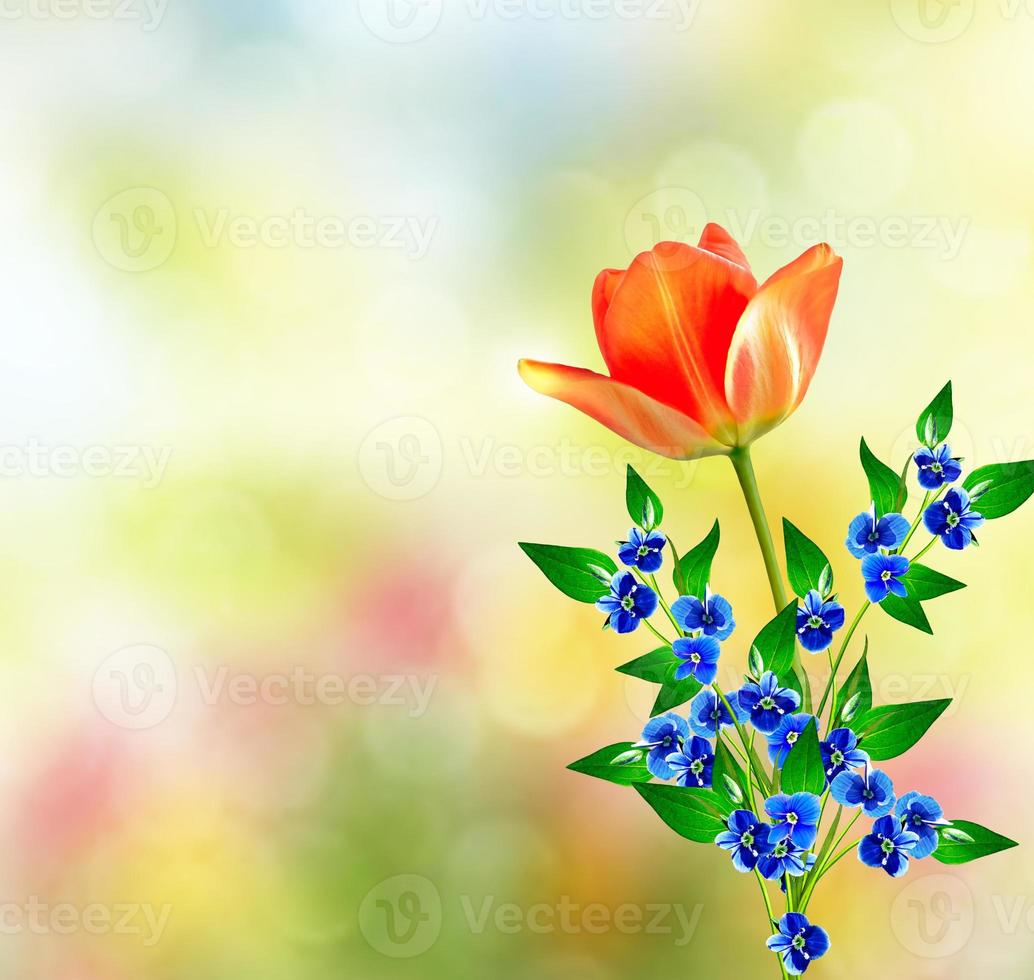 Spring landscape. beautiful spring flowers tulip 10019863 Stock Photo