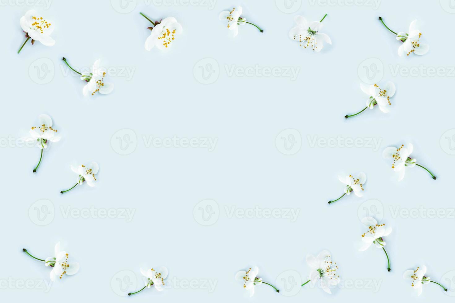 Spring background of flowers blooming cherry. photo