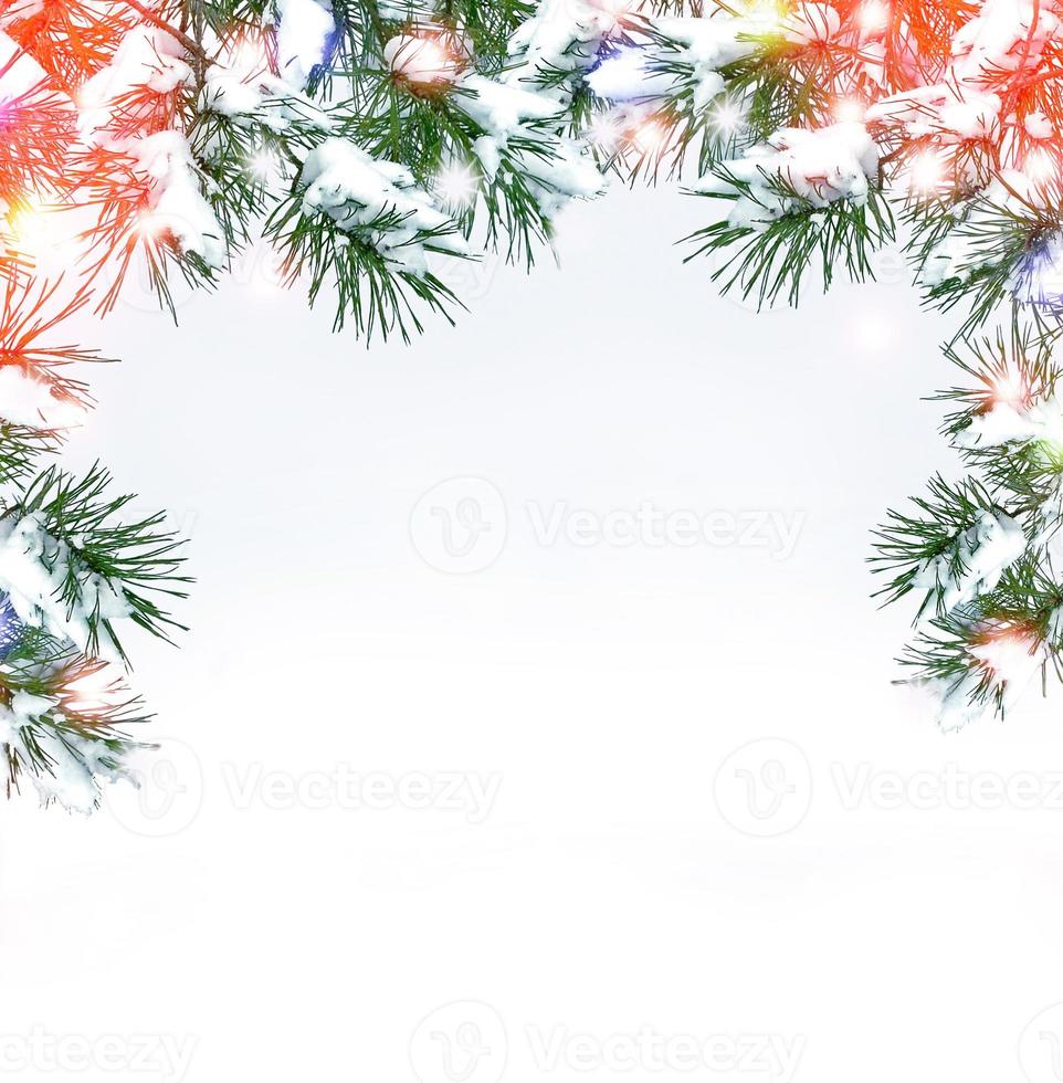 Festive Christmas frame with snowy spruce branches photo