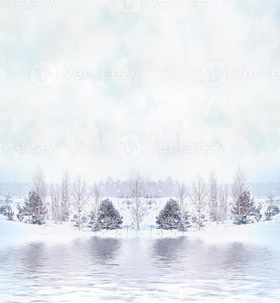 bosque en la escarcha. paisaje de invierno árboles cubiertos de nieve. foto