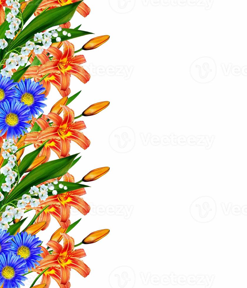 lily flowers isolated on white background photo