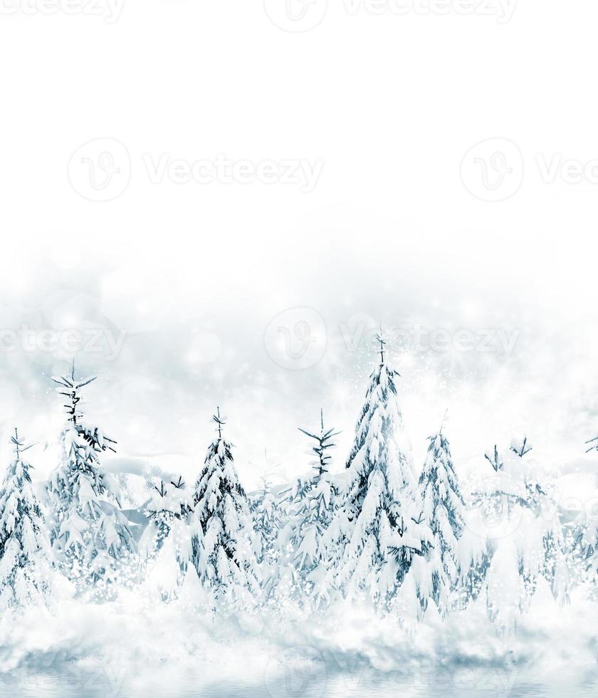 Snowfall. winter forest. Nature. photo