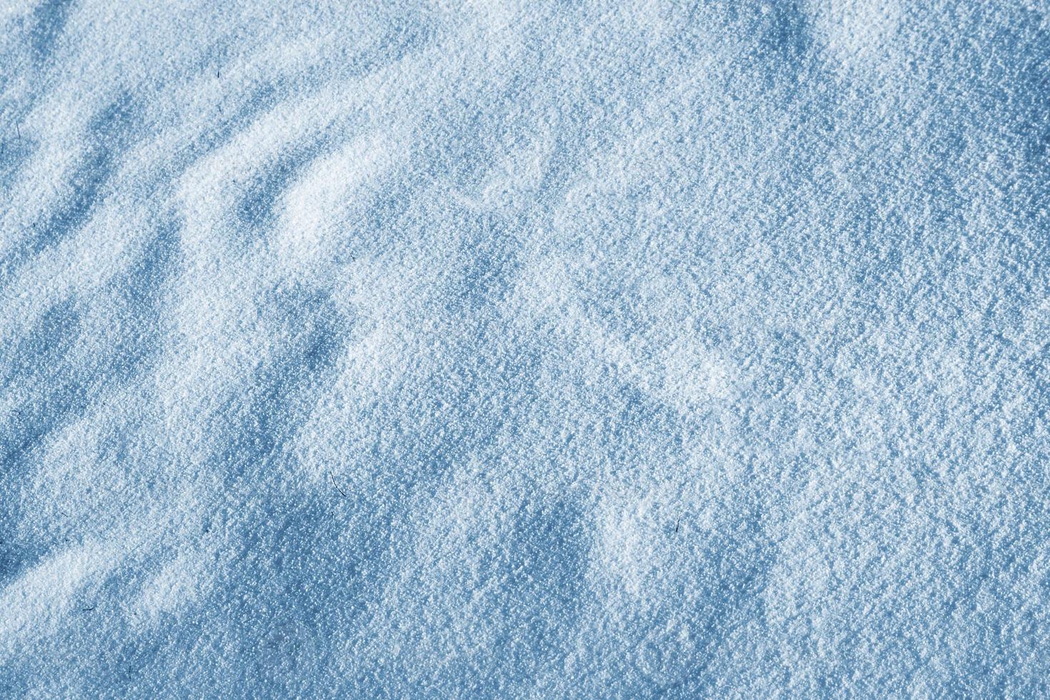 Background of snow.  The texture of the snow photo